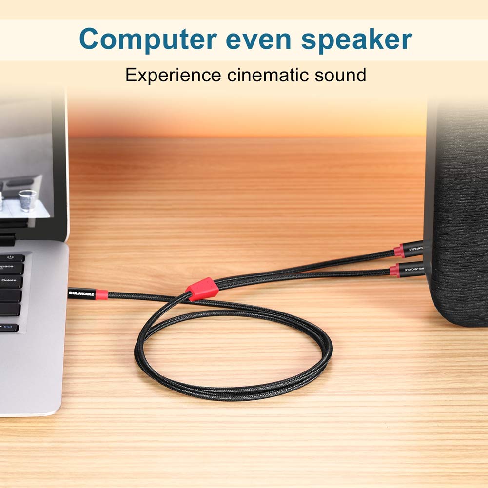 Shuliancable Cavo Audio Jack 3,5mm a Doppio 6,35mm (2M) - immagine 5