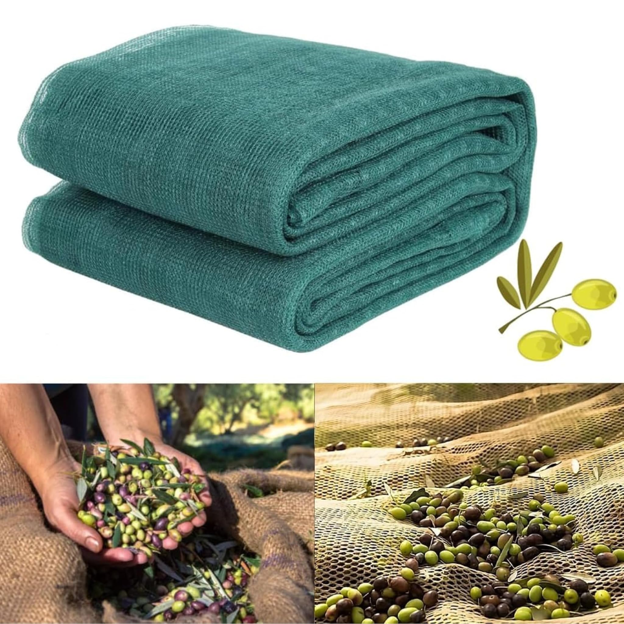 Rete per Raccolta Olive 6x6 Metri Antispina