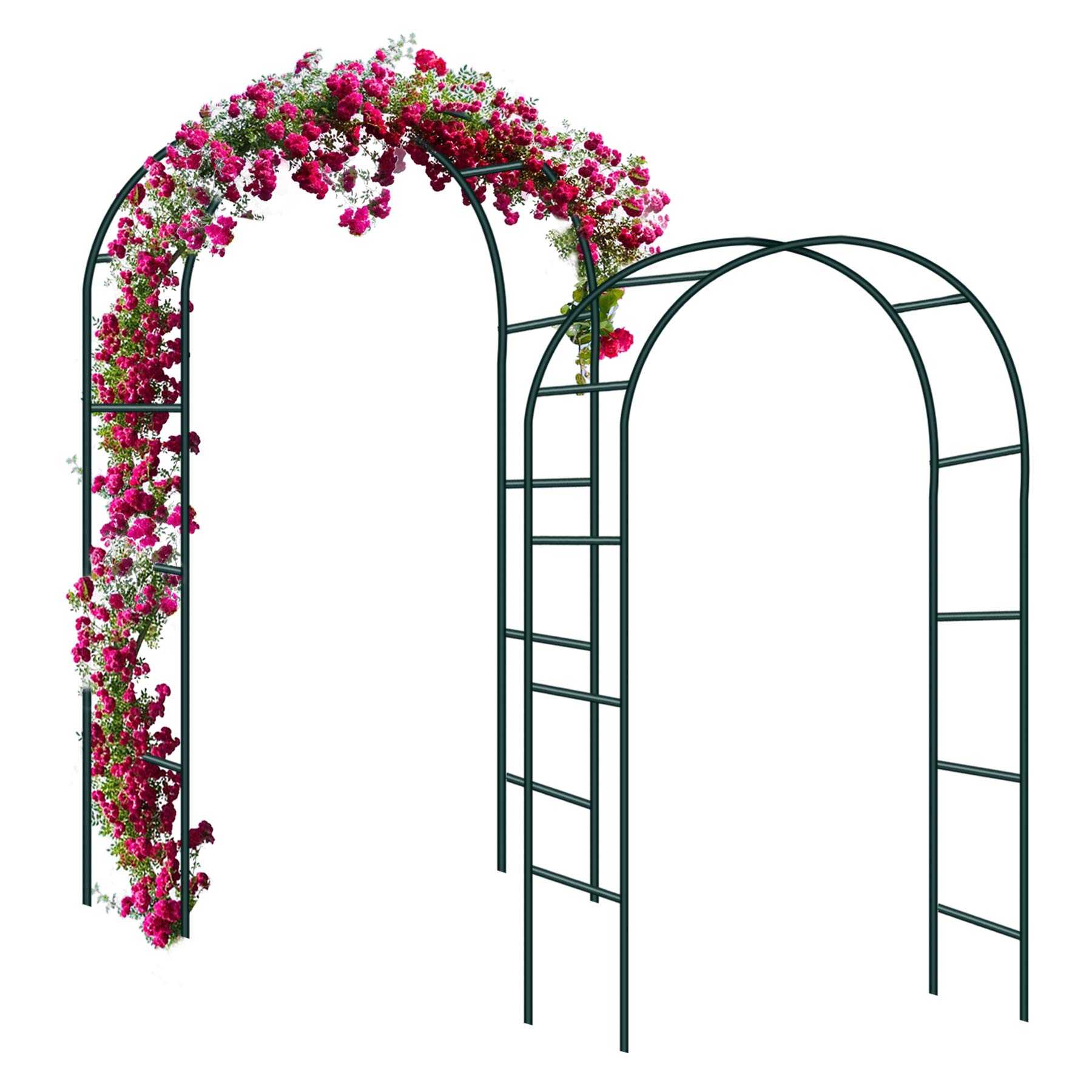 Forever Speed Arco per Rose Rampicanti 240x140x38cm, Verde