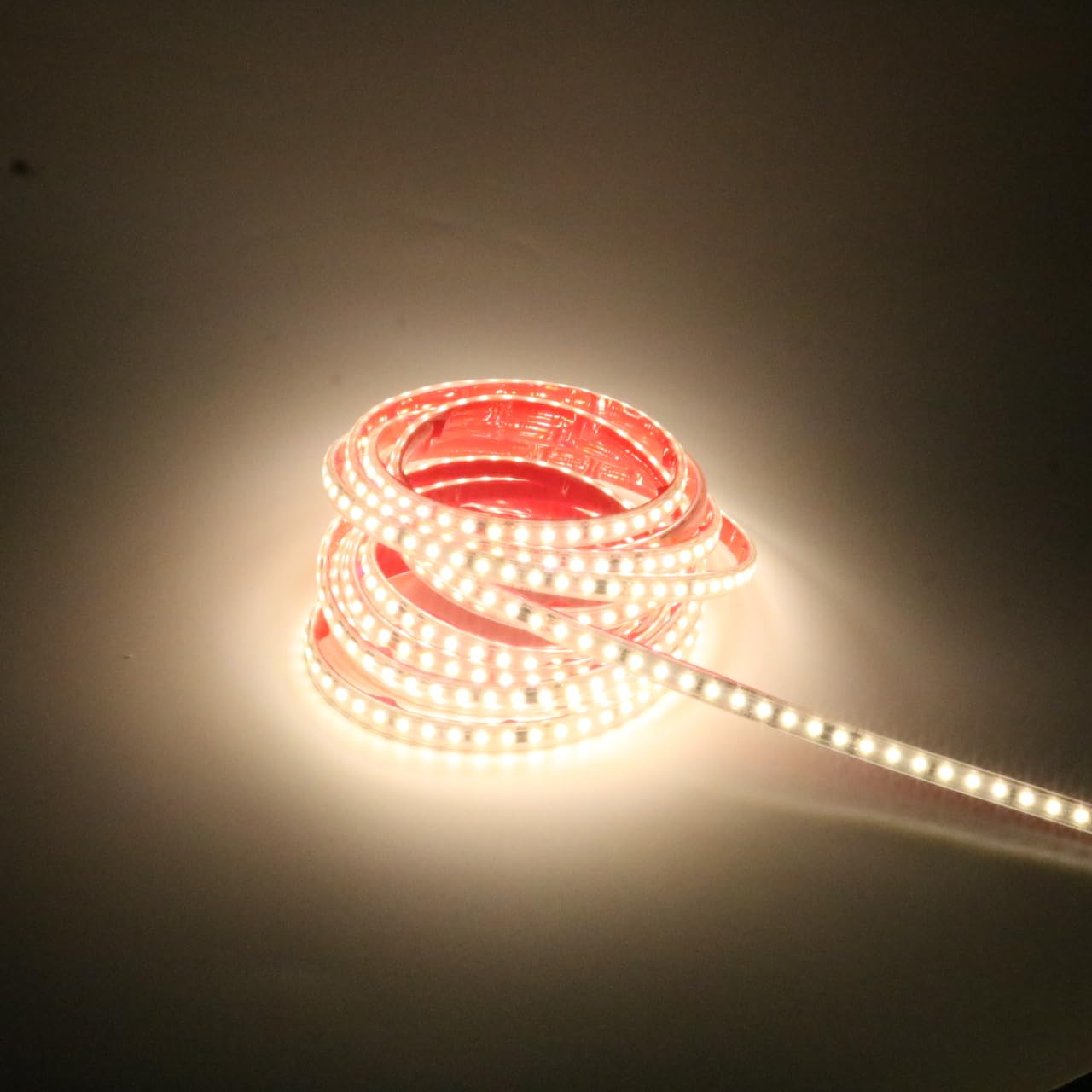 Striscia LED Adesiva 220V 2835 5M IP67