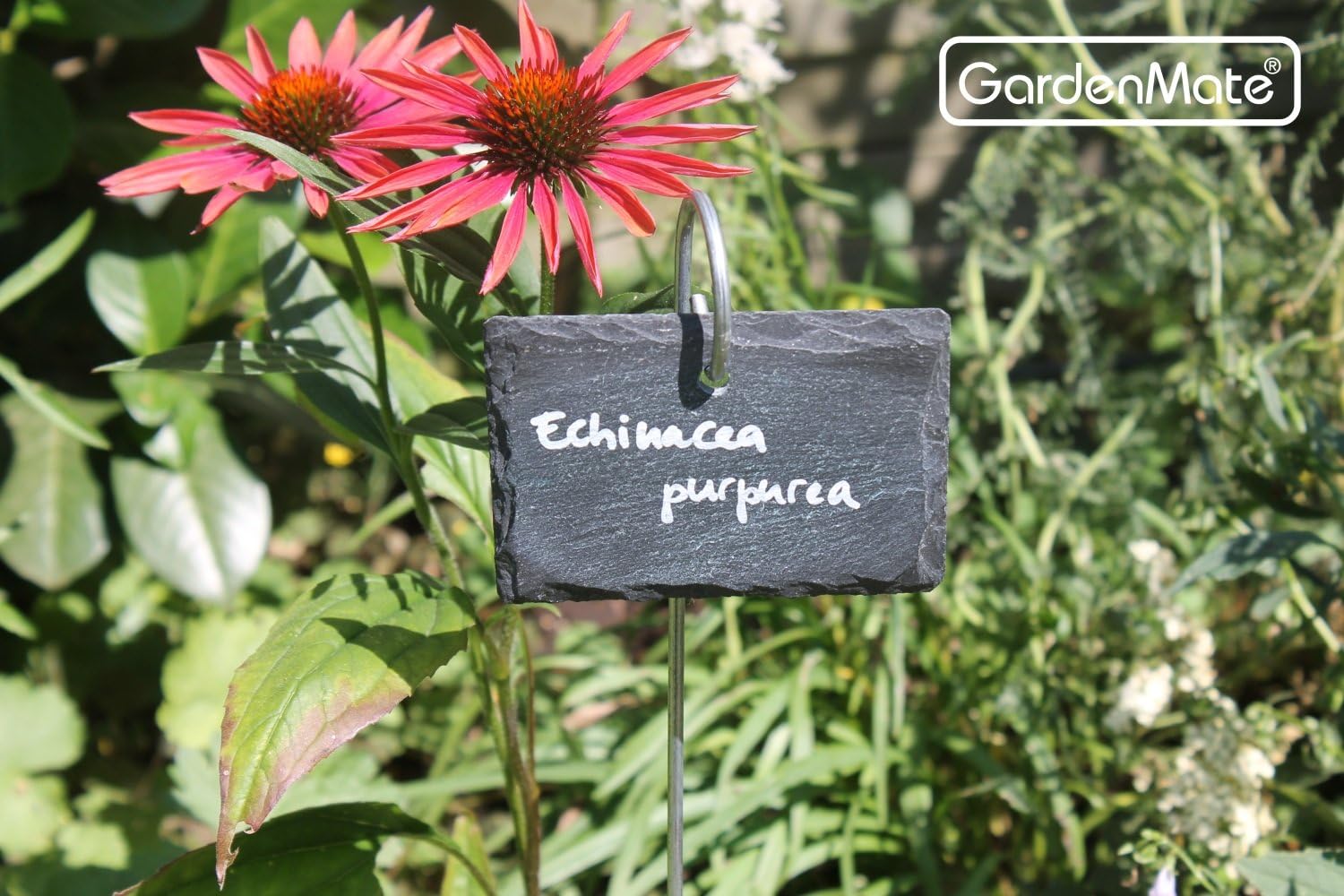 Gardenmate Set 10 Etichette per Piante in Ardesia - immagine 2