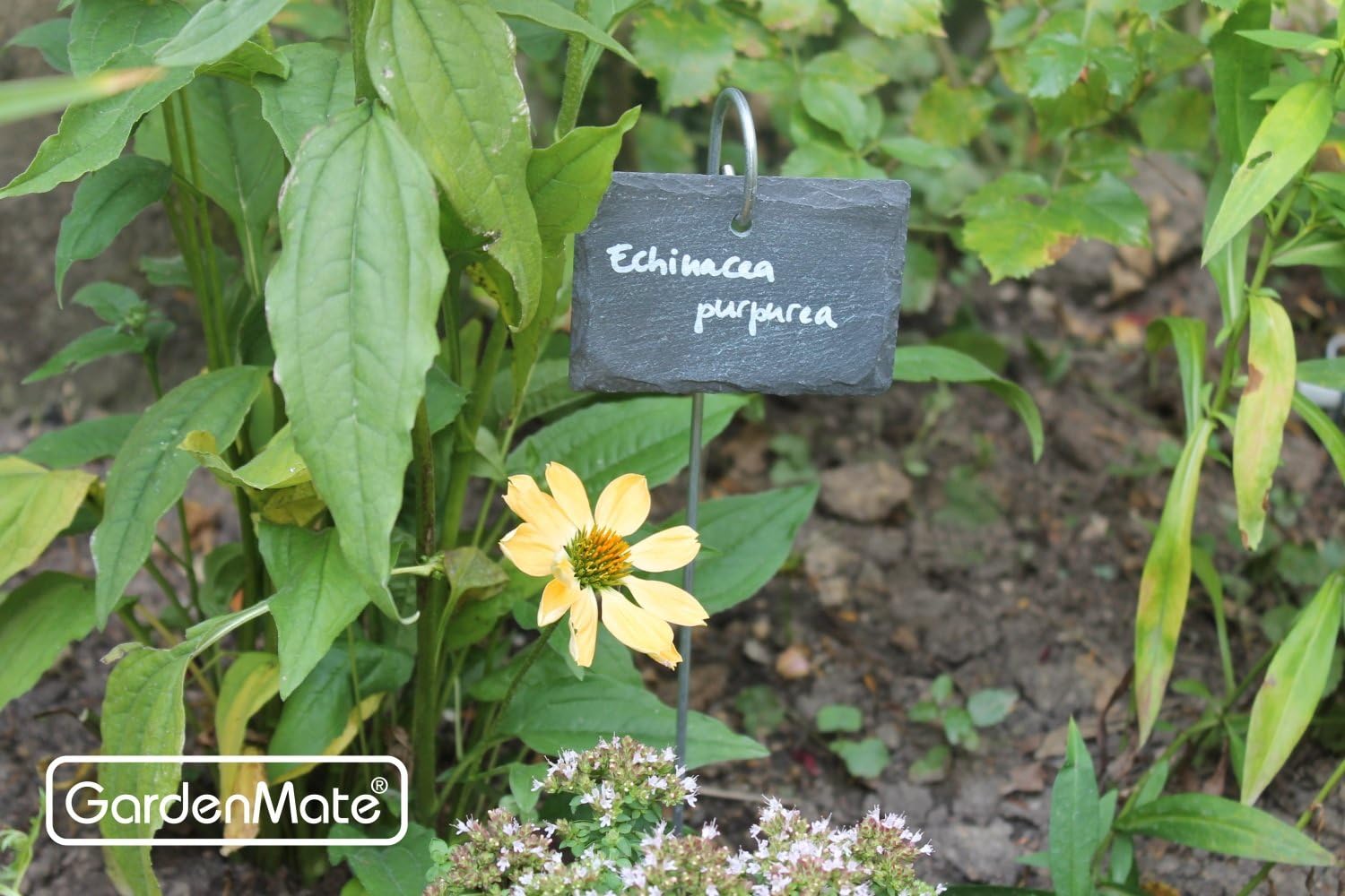 Gardenmate Set 10 Etichette per Piante in Ardesia - immagine 3