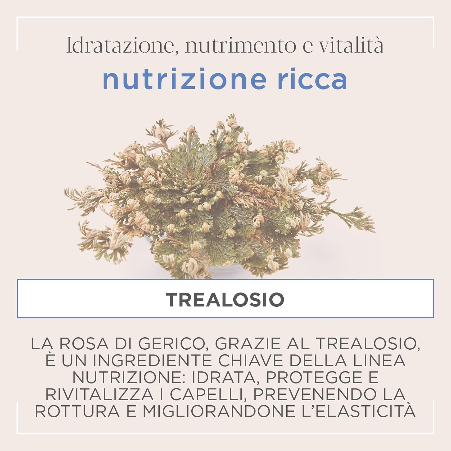 Actyva Nutrizione Ricca Shampoo - 1000 ml - immagine 4