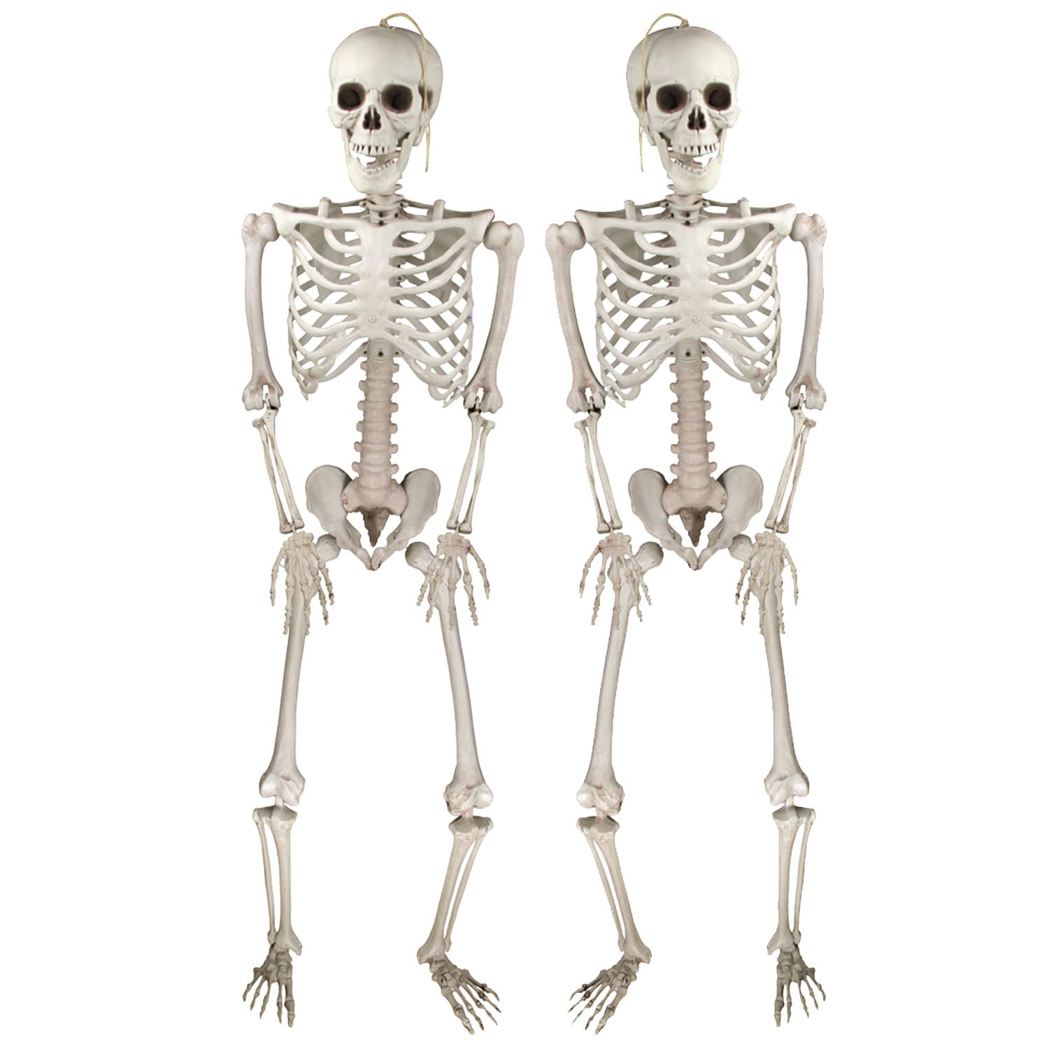 Decorazioni Halloween - Scheletri Realistici Posabili