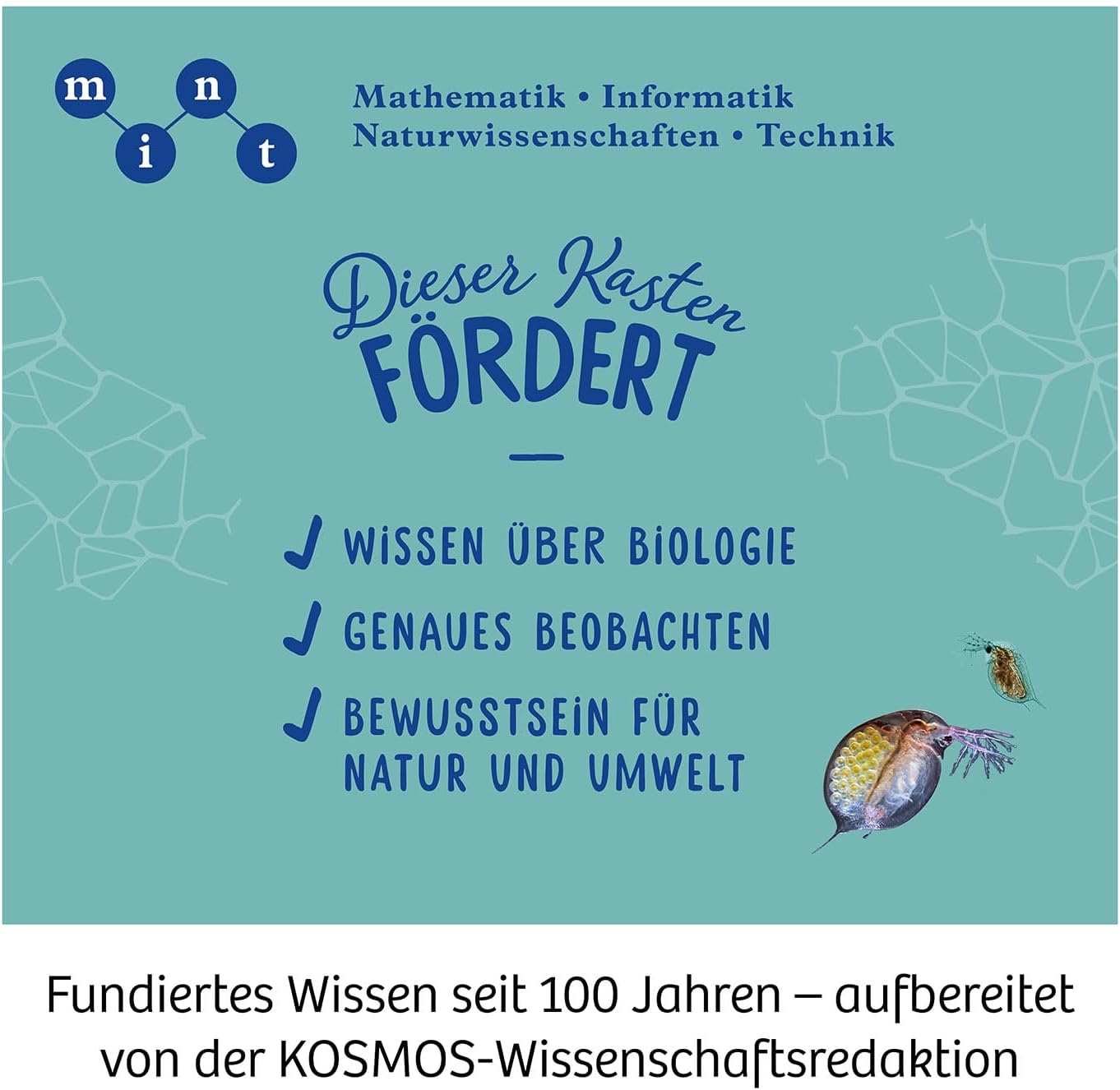 KOSMOS 636098 - Cassetta per esperimenti per bambini, colore: Bianco - immagine 6