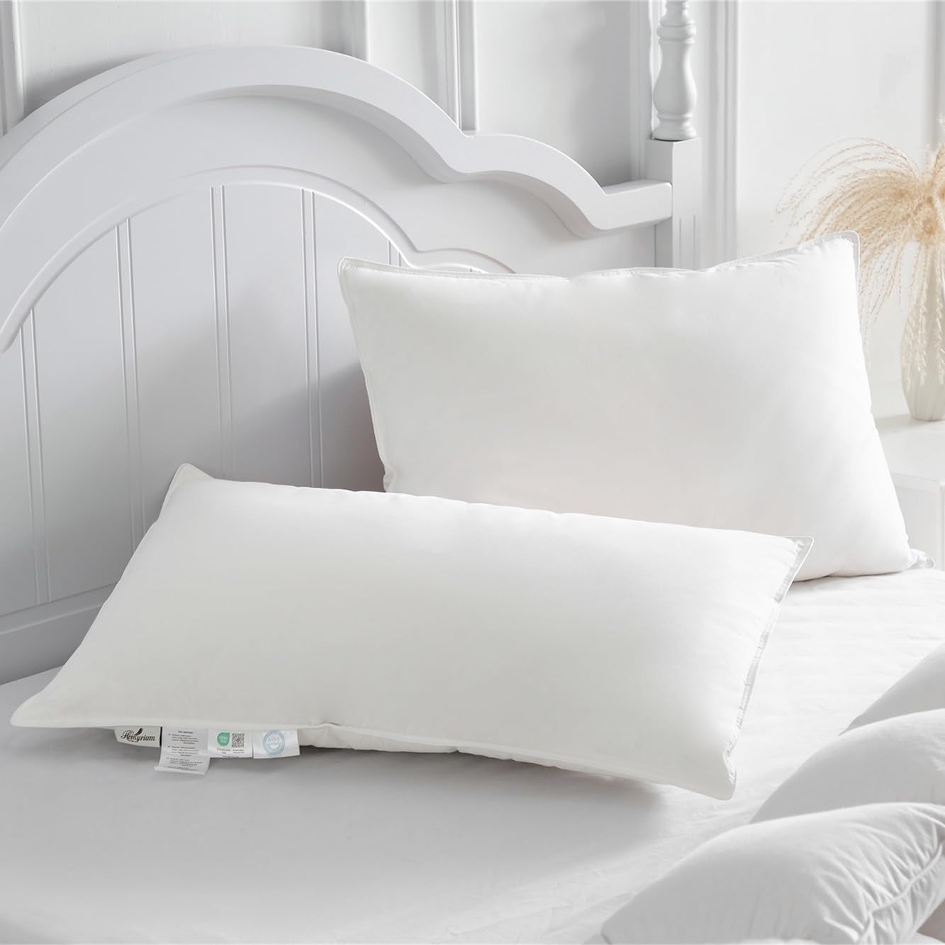 Homyrium Set 2 Cuscini in Piuma 50x75cm