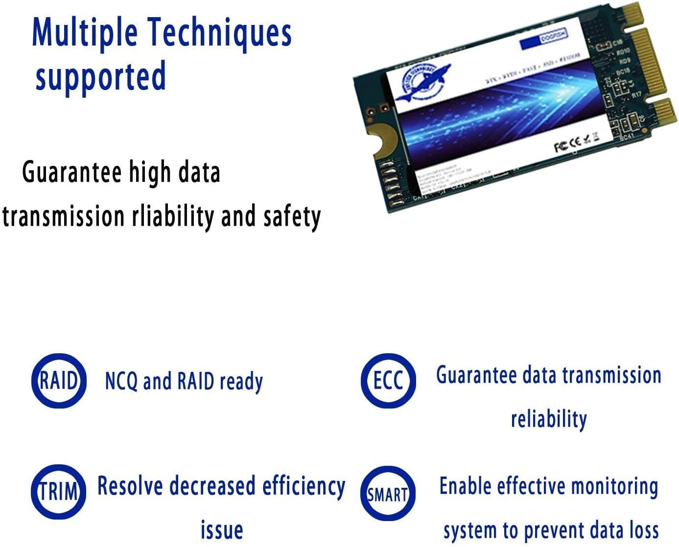 Dogfish SSD M.2 2242 500GB - Unità Stato Solido Interna - immagine 2