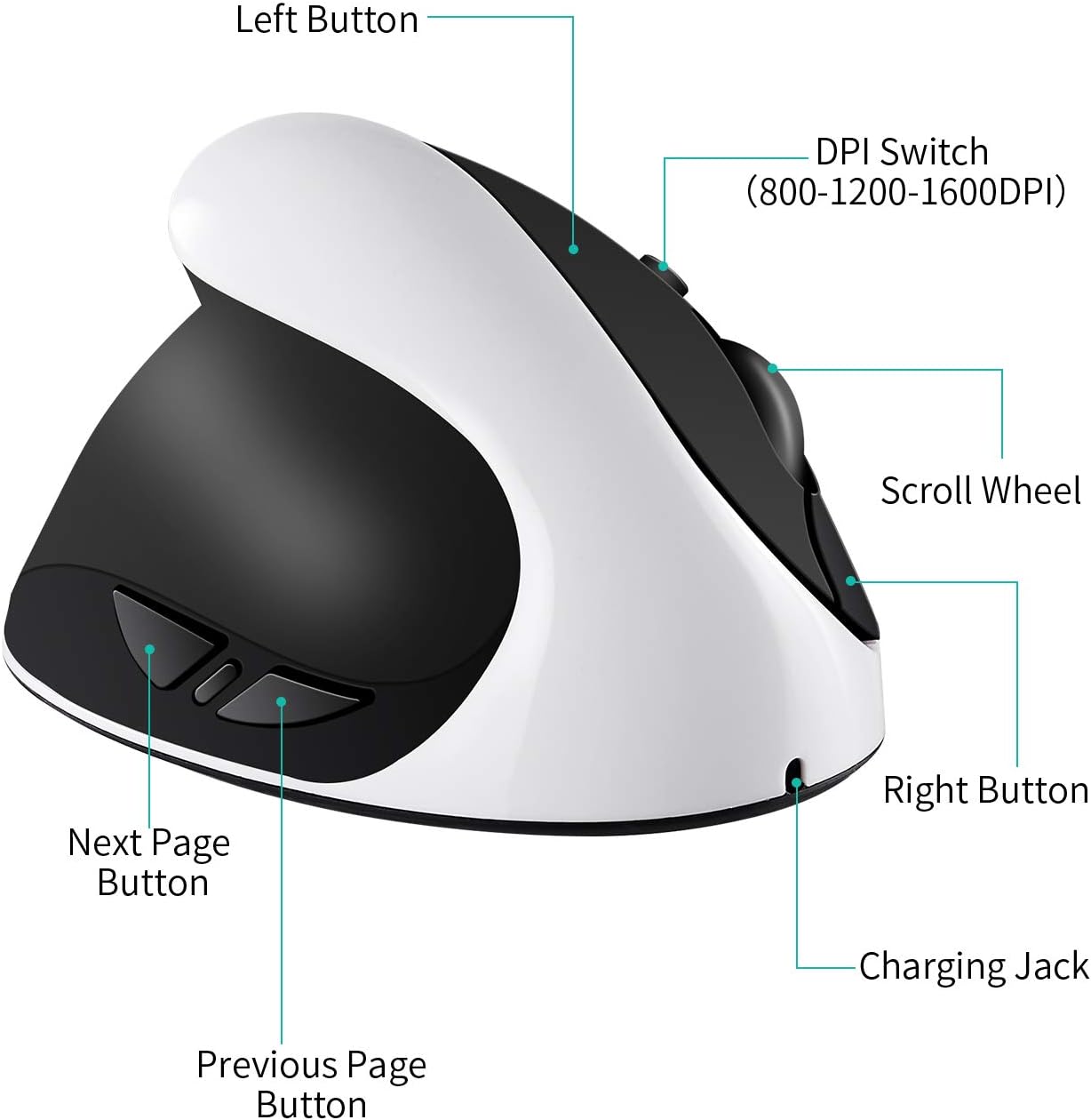 Aurtec Mouse Verticale Ergonomico Wireless per Mancini | Velz
