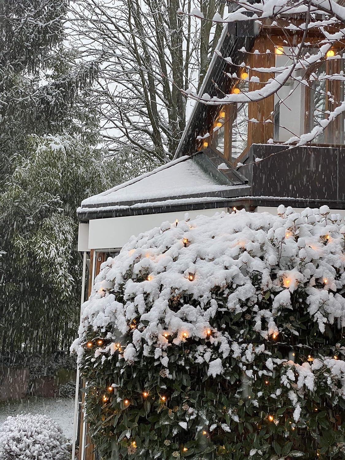 Catena Luminosa Profi Serie LED 10m - Bianco Caldo/Freddo - immagine 4