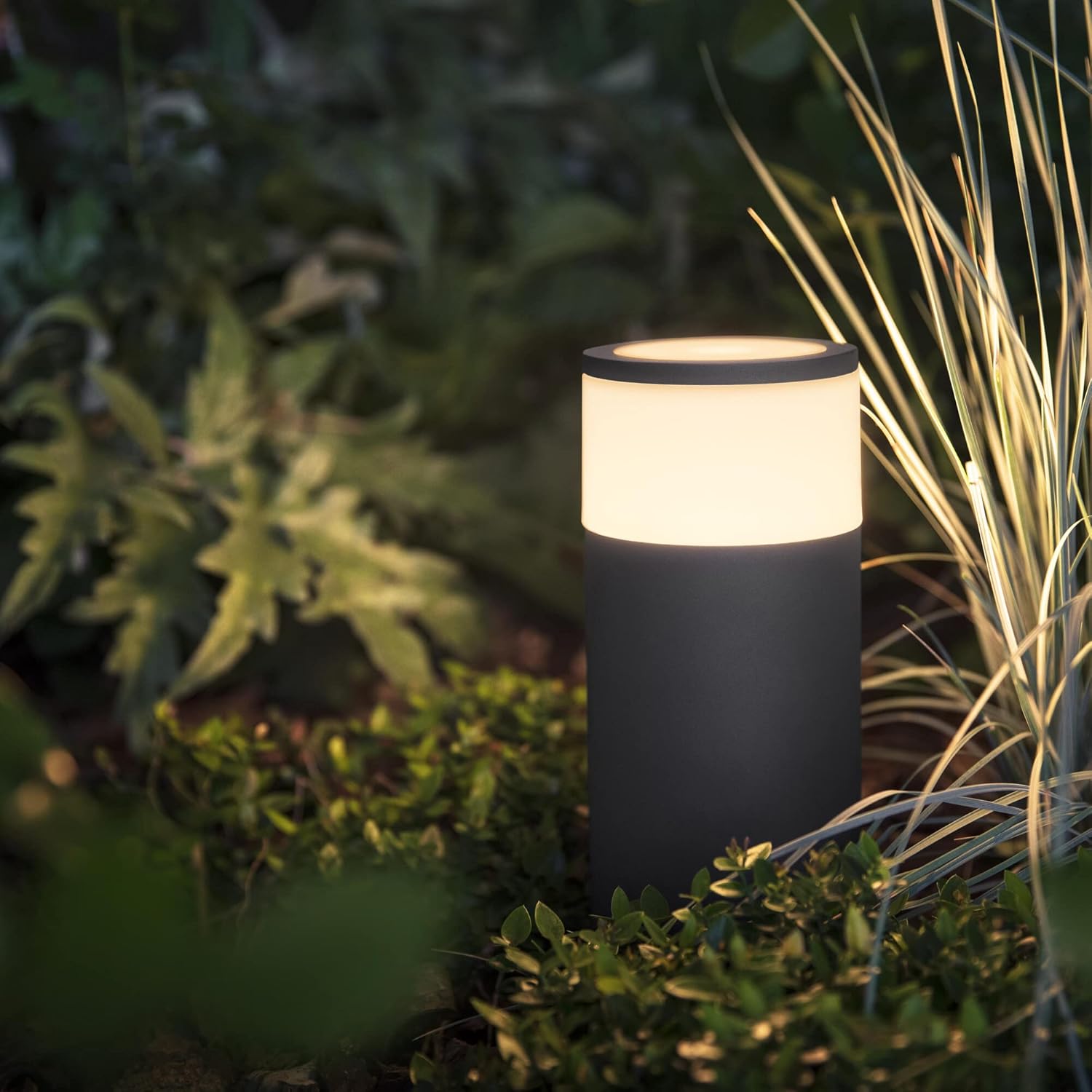 Philips Lighting White And Color Ambiance Calla Palo Esterno - immagine 6