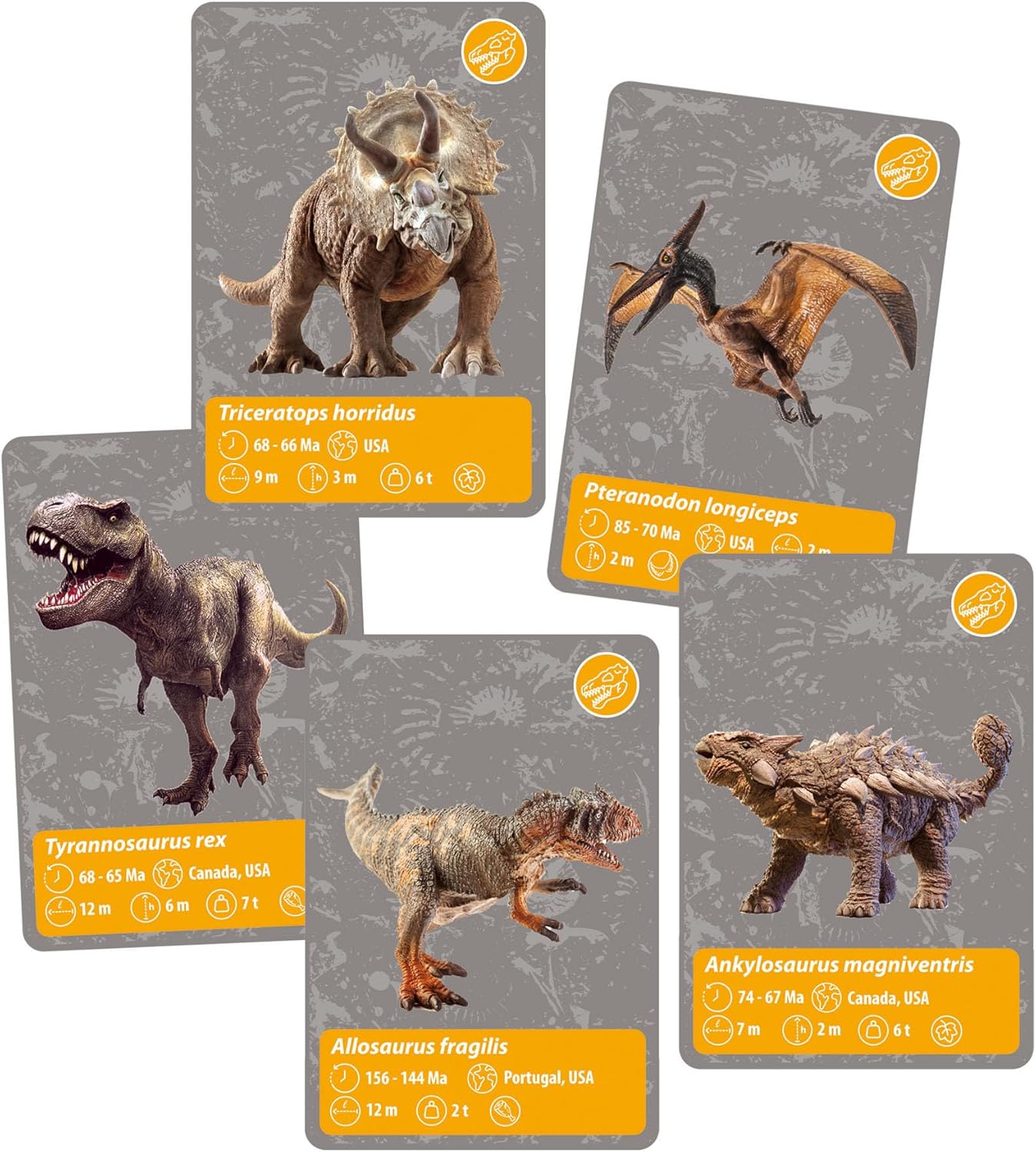 Clementoni Scienza e Gioco Lab - Storia della Vita sulla Terra - immagine 7