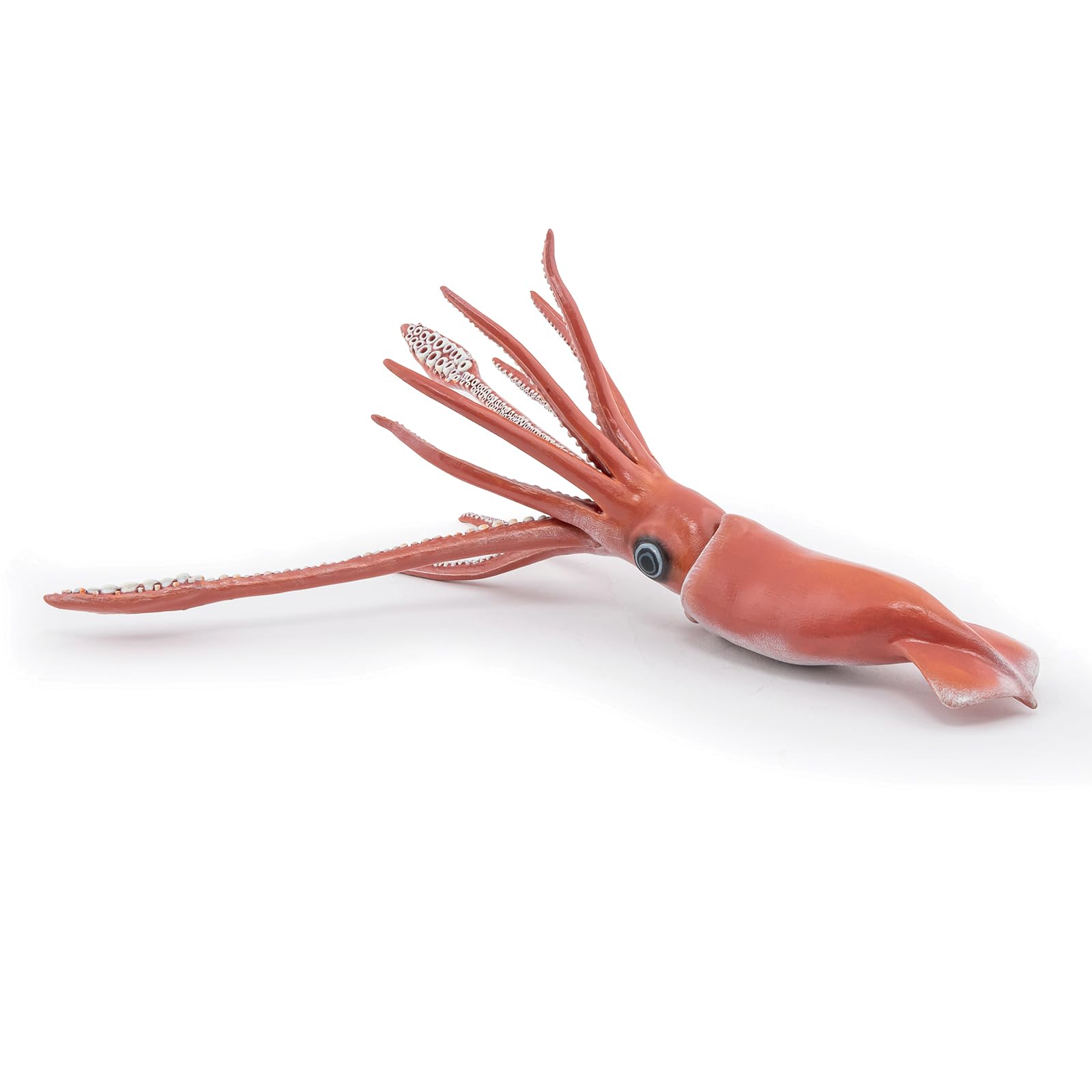 Papo - Statuetta Calamaro Gigante Realistica - 3 Anni + - Collezione Universo Marino - Gioco Educativo Creature Marine - Idea Regalo Giocattolo Bambina Bambino
