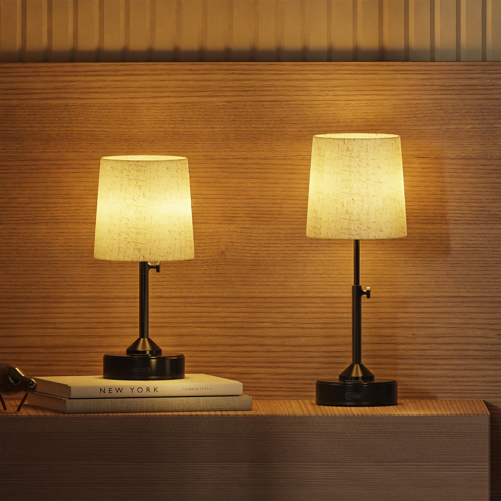 FANSANMY Lampada da Comodino Touch Dimmerabile