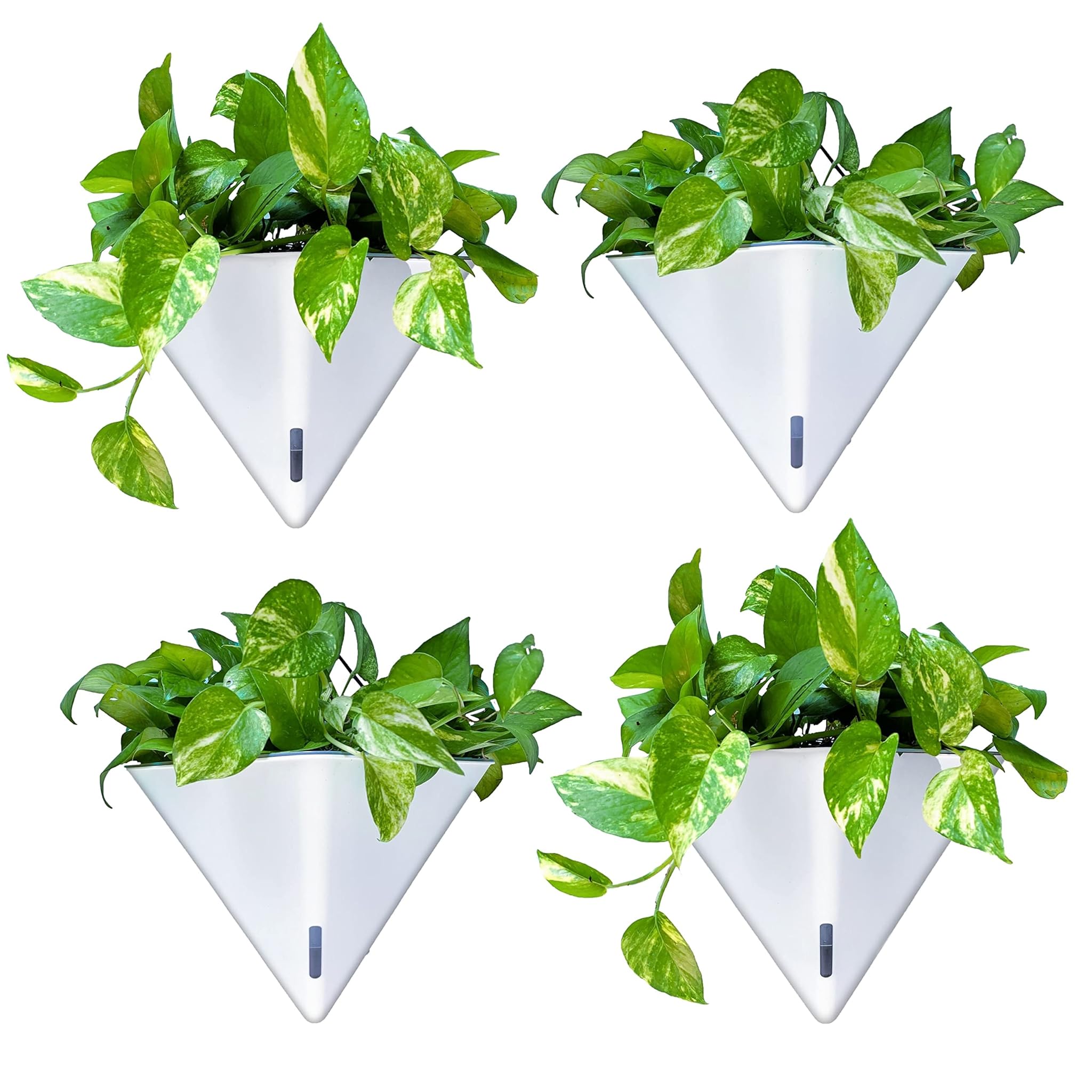 LaLaGreen Vaso da Parete Autoirrigante 4 Pezzi 30,5cm