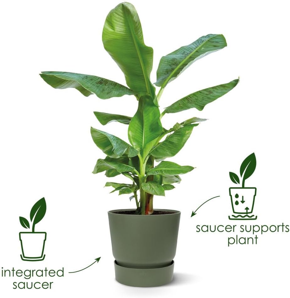 Elho Greenville Round 47 - Vaso per Esterno, Verde - immagine 2