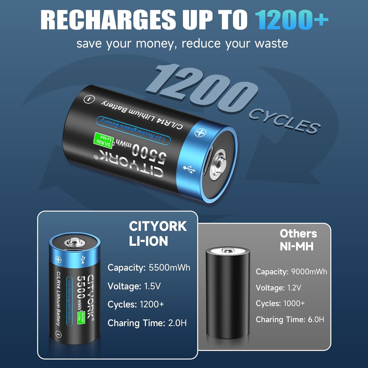 Cityork USB Pile C Ricaricabili 1.5V 5500mWh - immagine 3