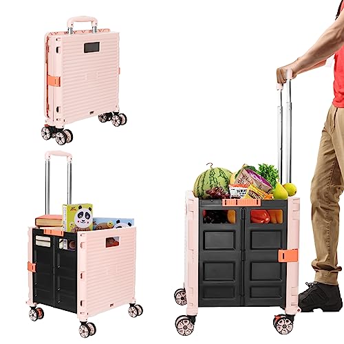 Carrello Pieghevole per Bagagliaio 45kg