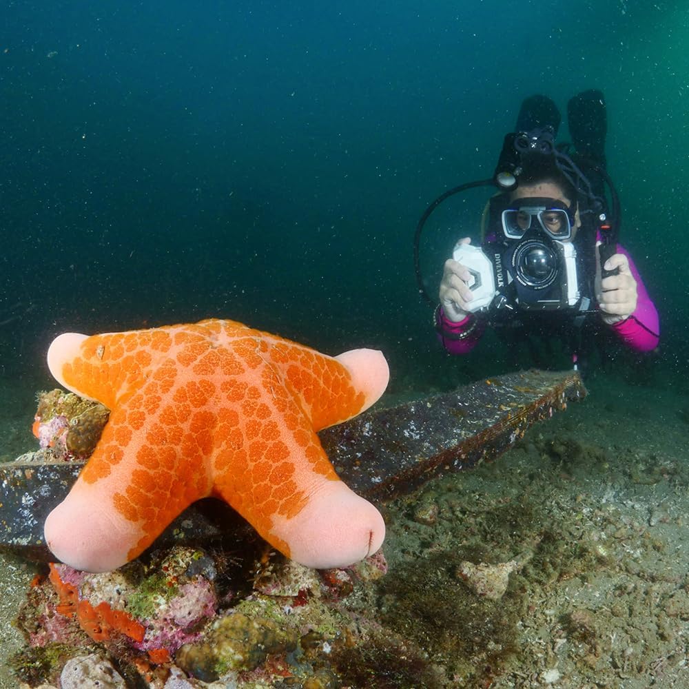 Divevolk Custodia Telefono Subacquea - immagine 4