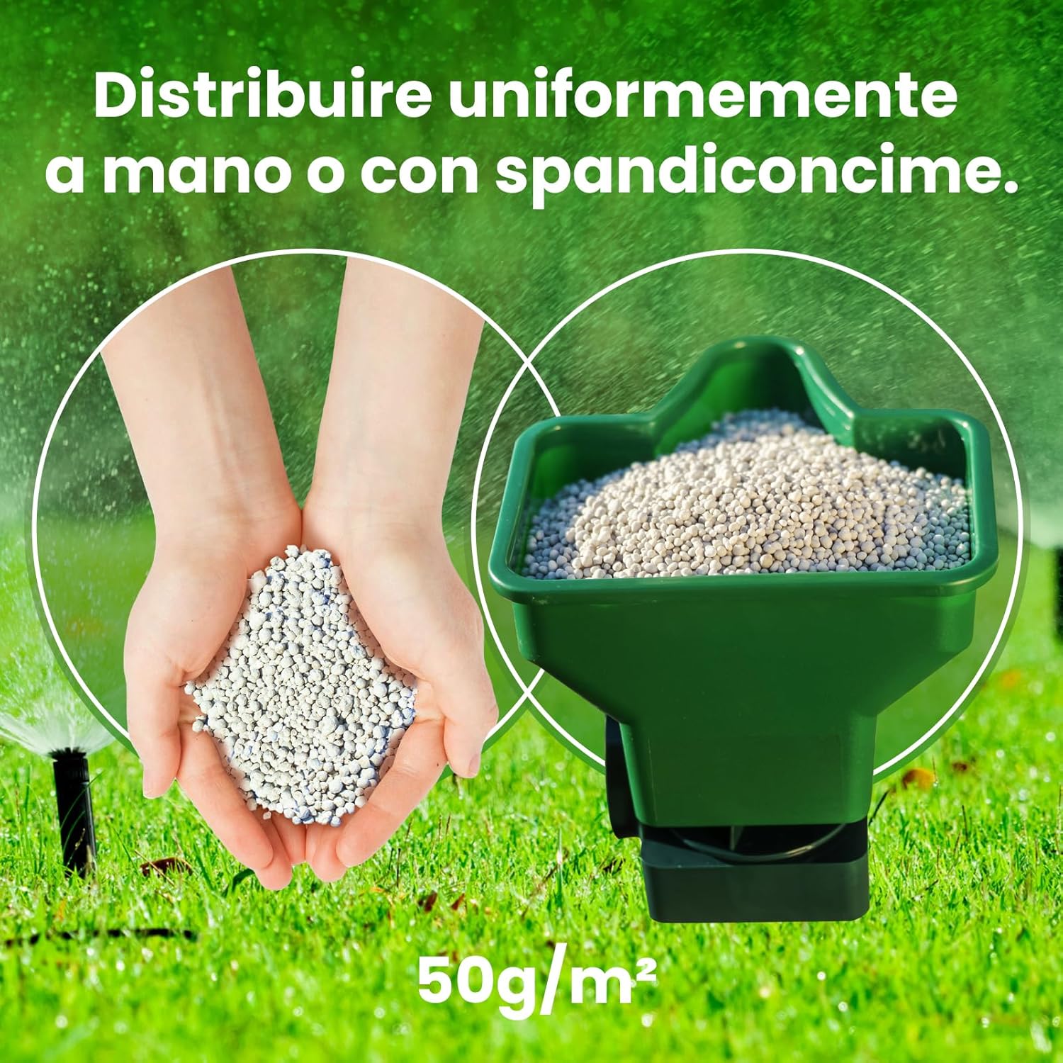 Lerava® STARTER Concime Prato per Semina 75m² - immagine 6