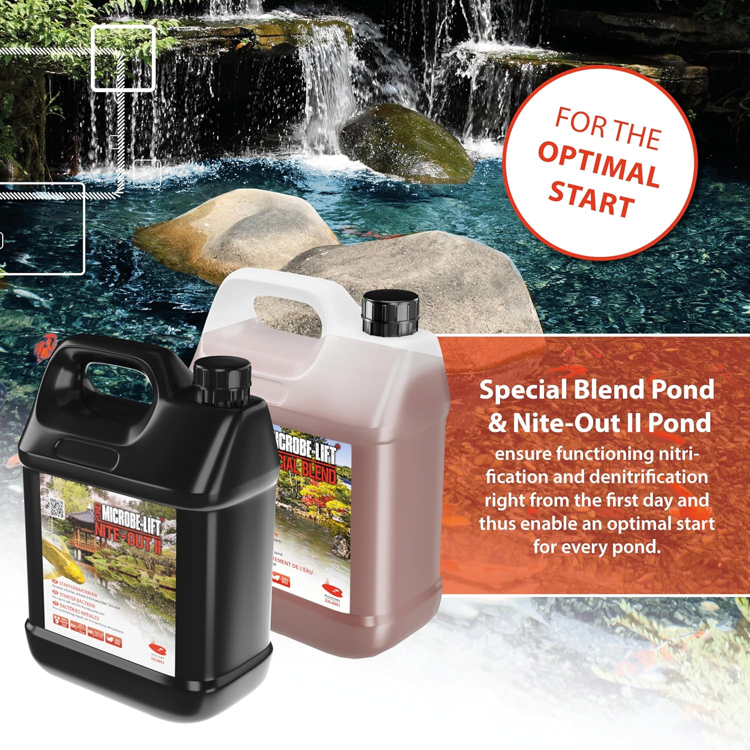 Microbe-lift Pond Special Blend - Batteri per Acqua Pulita - immagine 5