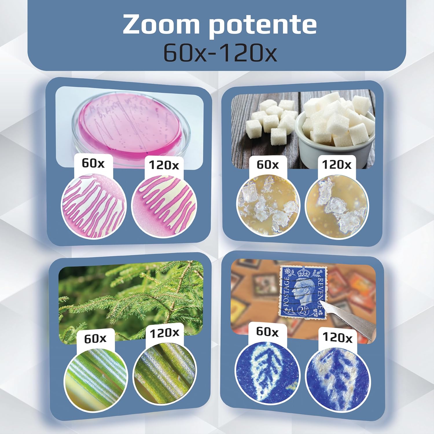 Carson MicroBrite Plus - Microscopio Tascabile 60-120x - immagine 5