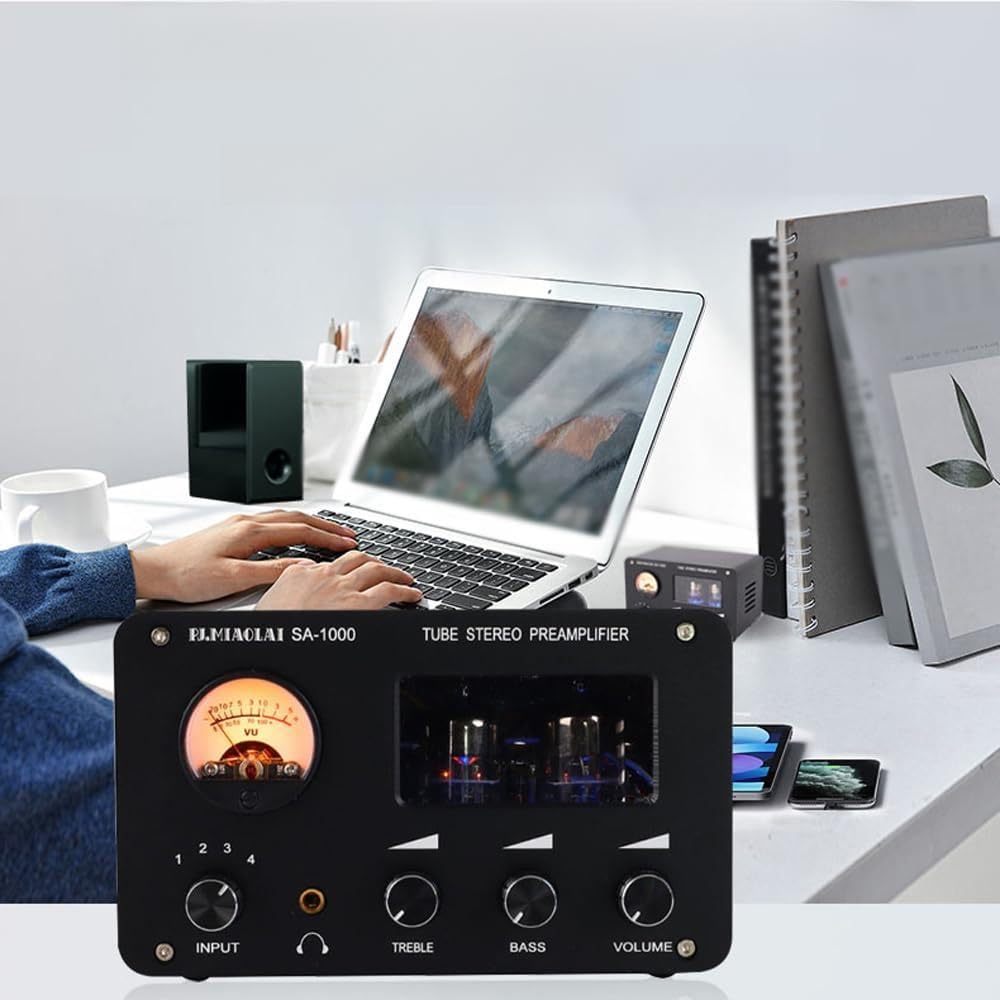 Amplificatore Valvolare Elettrico con Regolazione Volumi