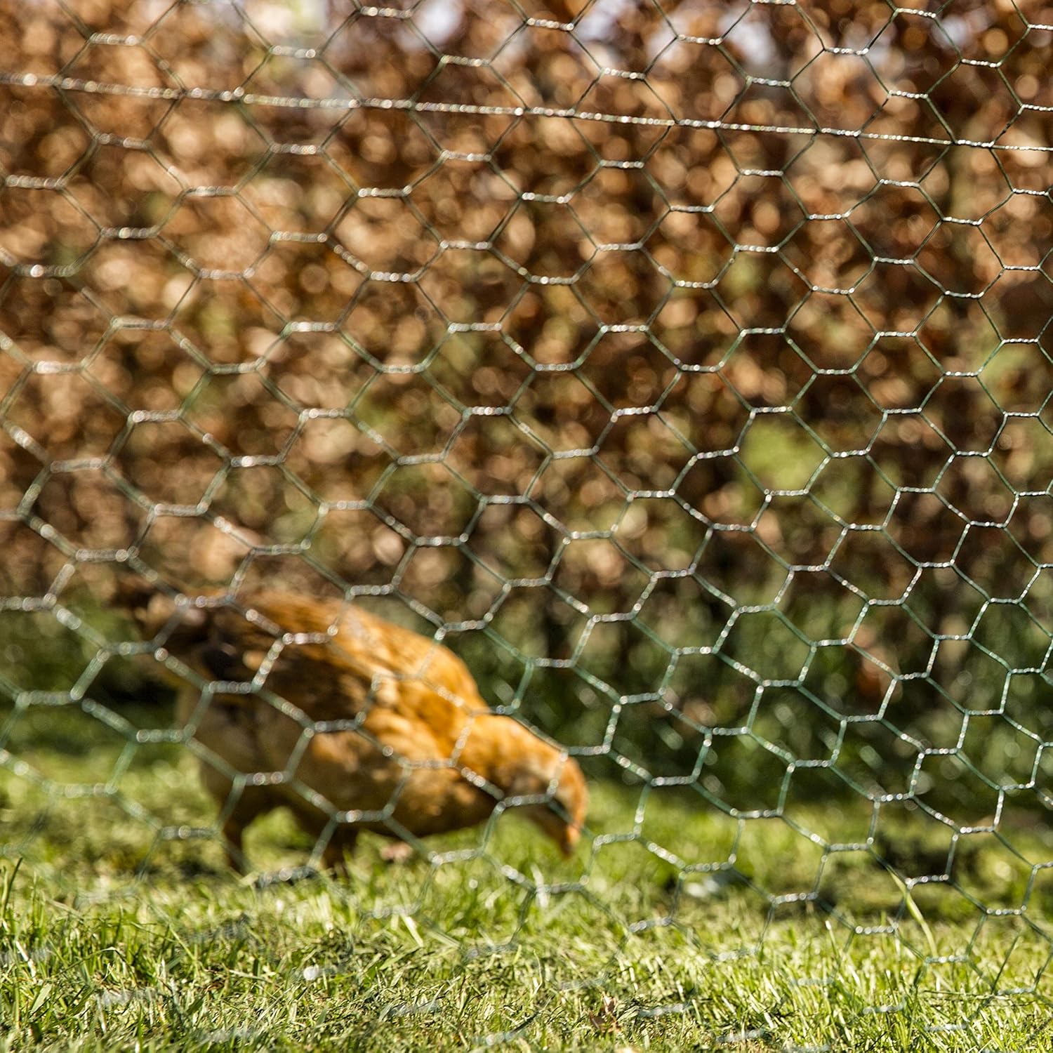 Windhager Rete Esagonale Rivestita in Plastica - immagine 4