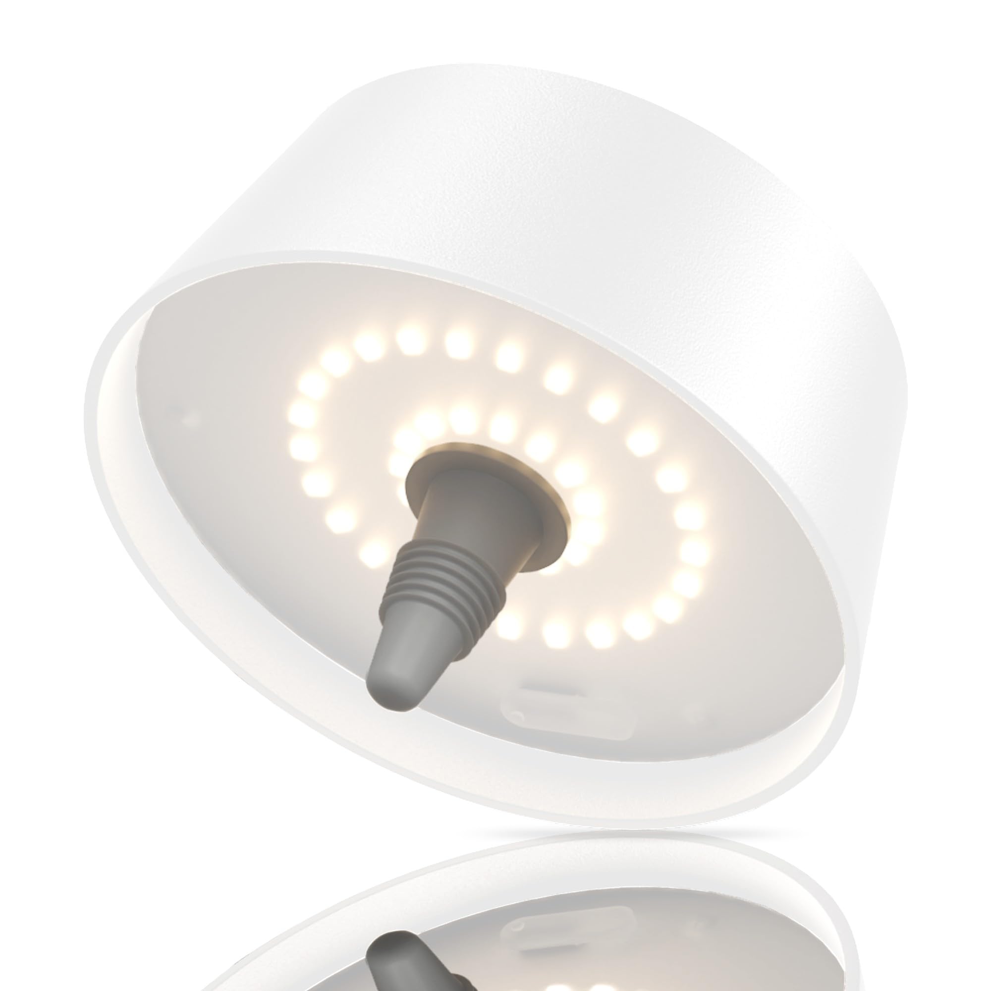 Aipsun Lampada Bottiglia LED Dimmerabile 3000K, Bianco