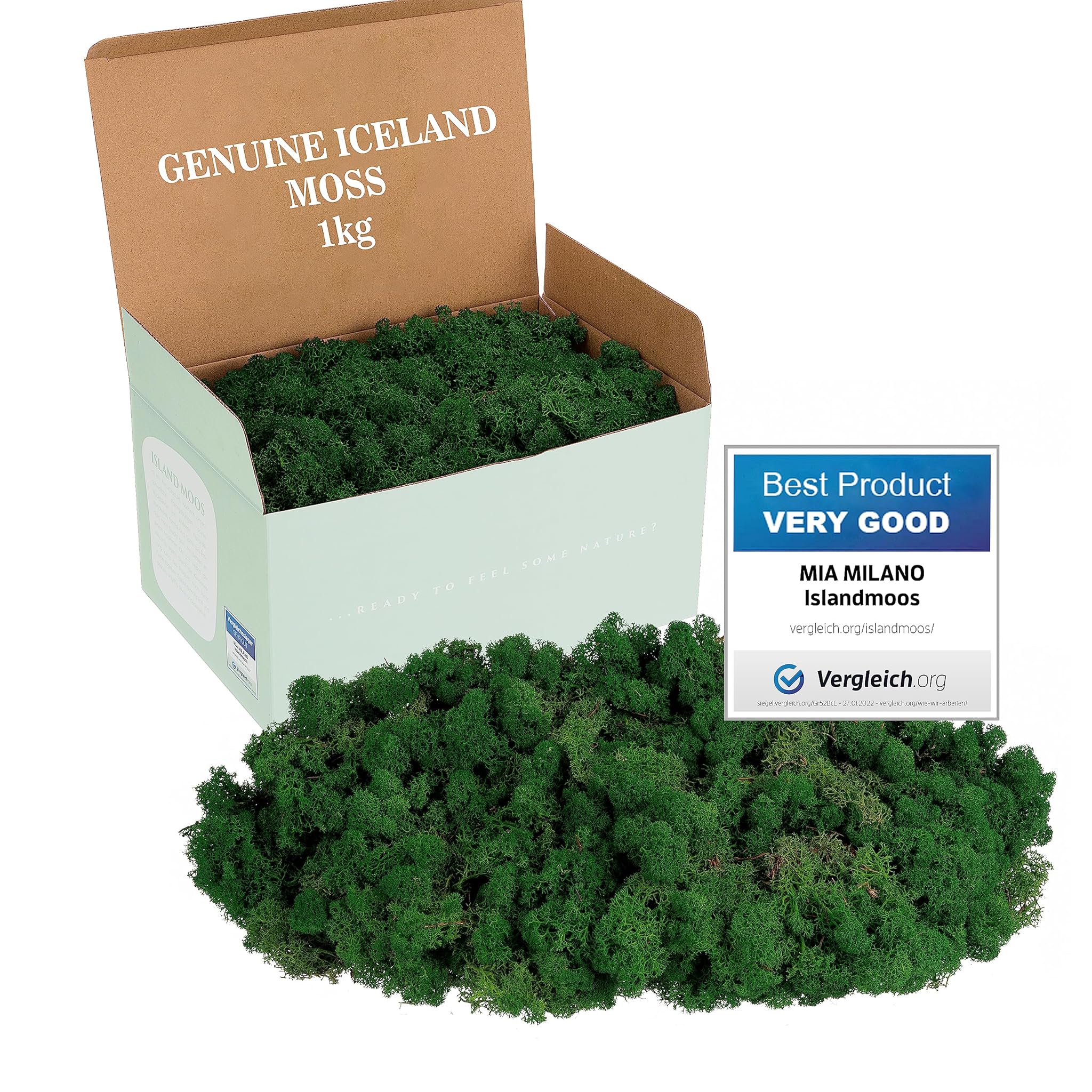 Mia Milano Muschio Stabilizzato Islandese, Verde Scuro 1kg