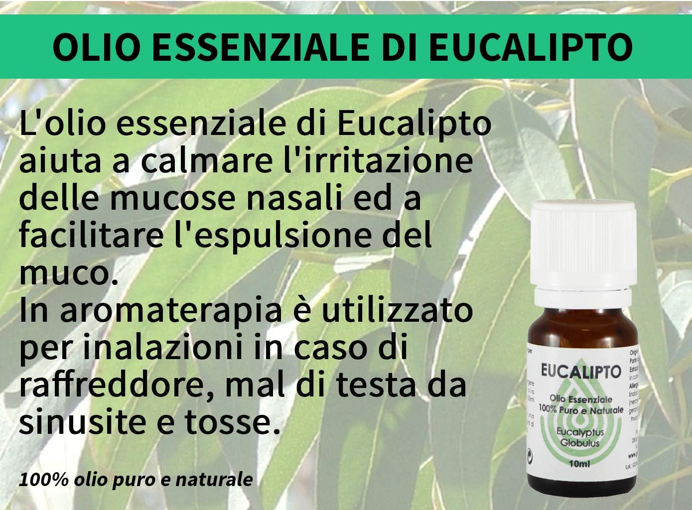 Gisa Wellness EUCALIPTO - Olio Essenziale 10ml - immagine 3