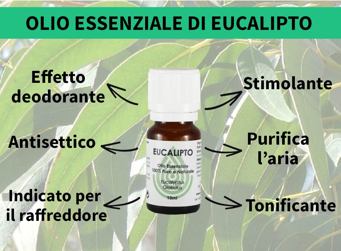 Gisa Wellness EUCALIPTO - Olio Essenziale 10ml - immagine 4