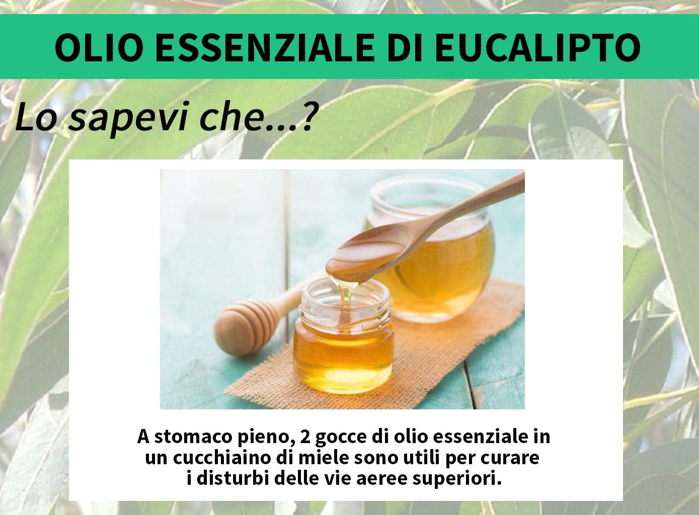 Gisa Wellness EUCALIPTO - Olio Essenziale 10ml - immagine 6