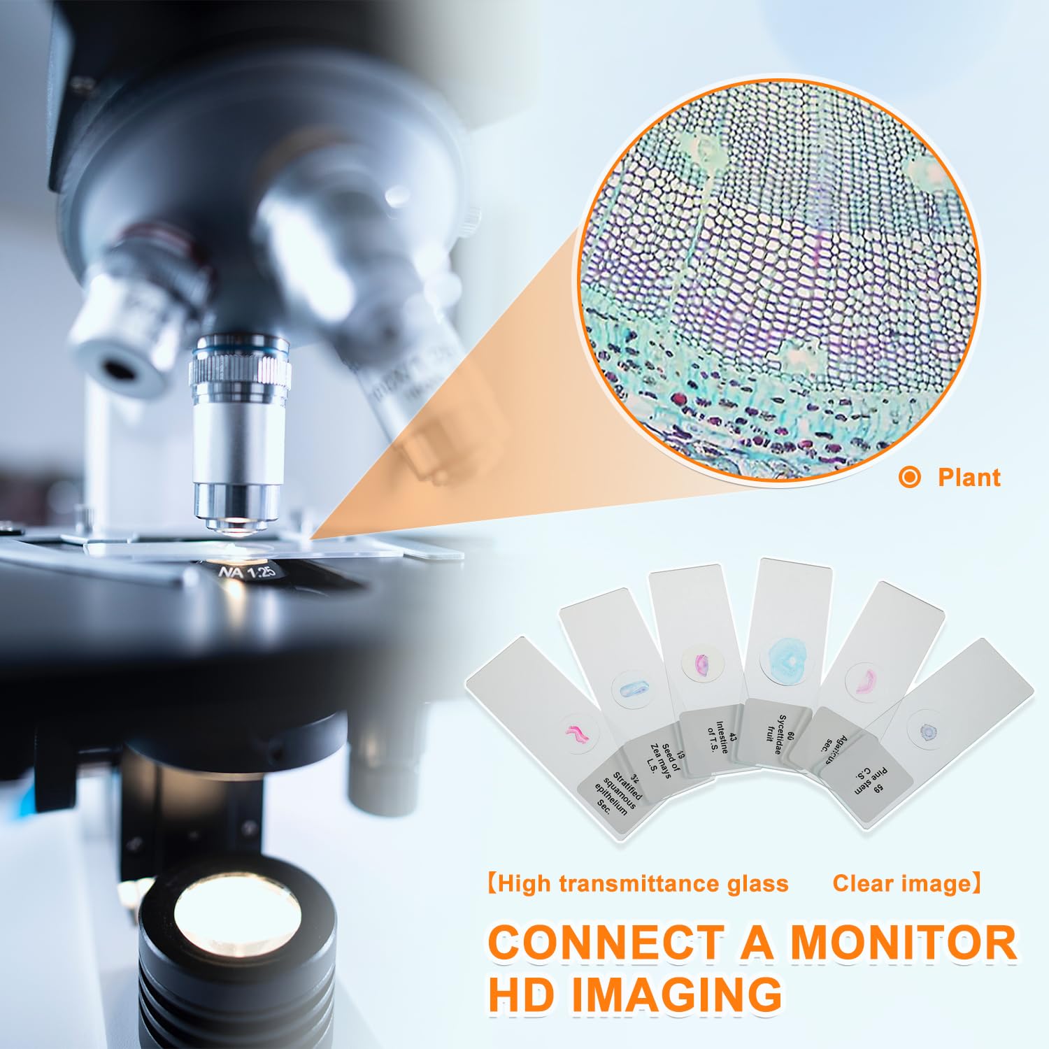 HUAREW 60 Vetrini per Microscopio Preparati - immagine 4