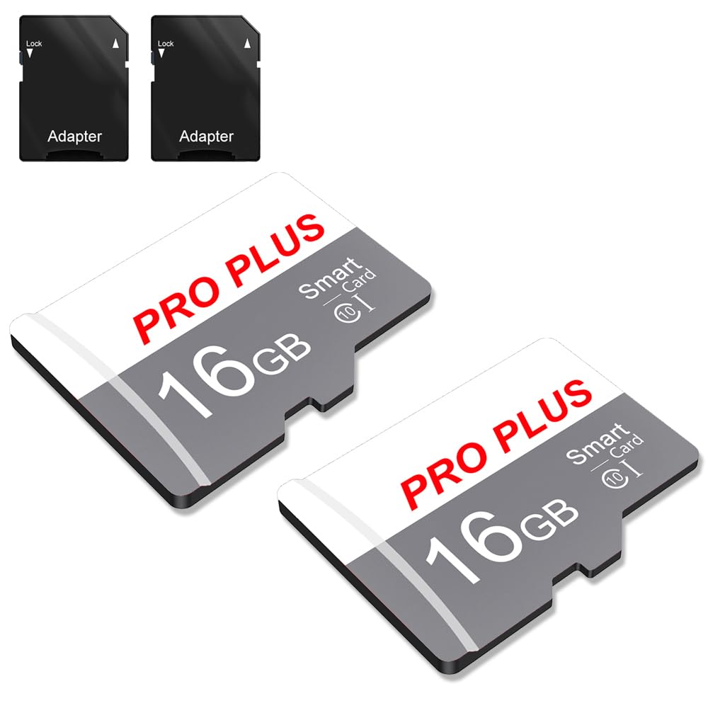 Scheda di Memoria 16GB Classe 10 UHS-I A1 (2 Pack)