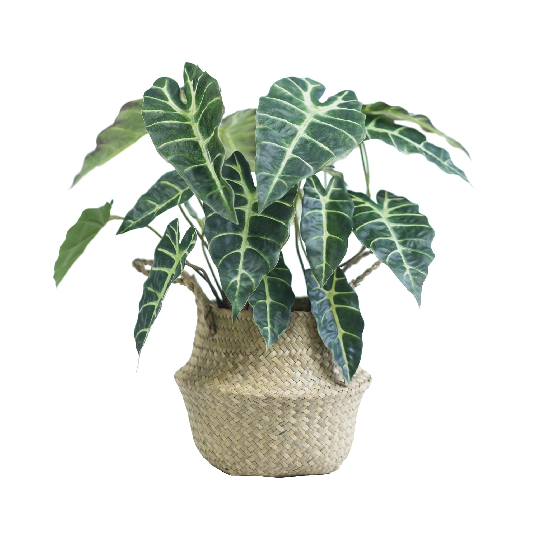 Pianta di Alocasia Artificiale a Foglia Nera 46 cm
