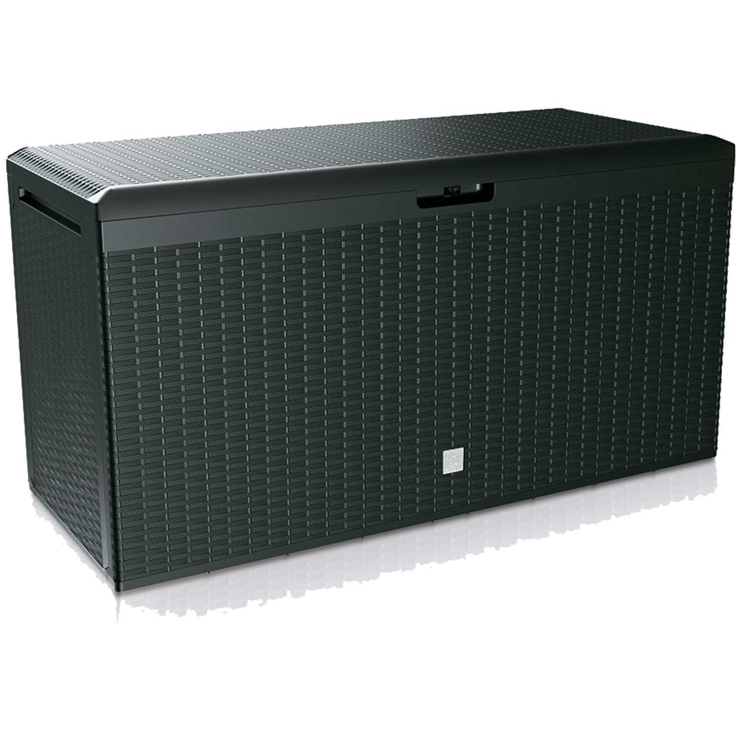 Prosperplast Boxe Rato Plus Gartenbox 290L, Anthrazit