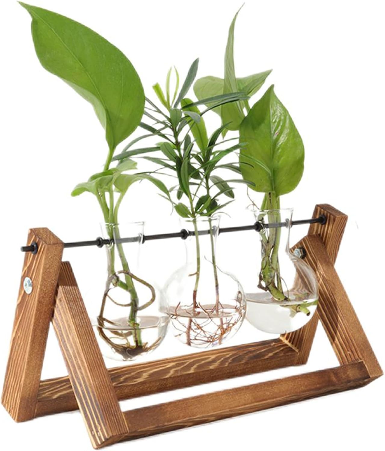 PUWOWYE Stazione di Propagazione per Piante Vintage - immagine 1