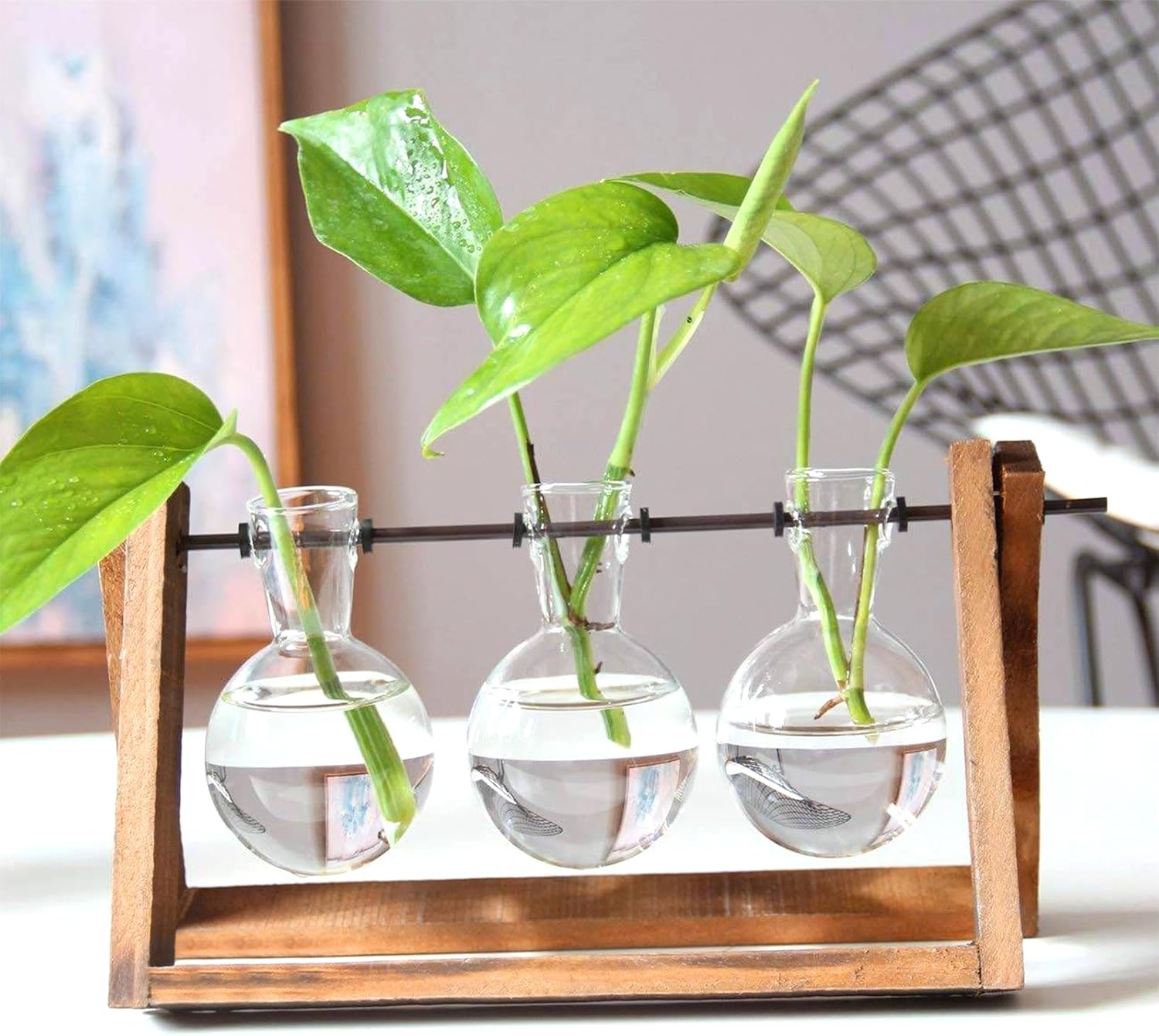 PUWOWYE Stazione di Propagazione per Piante Vintage - immagine 5