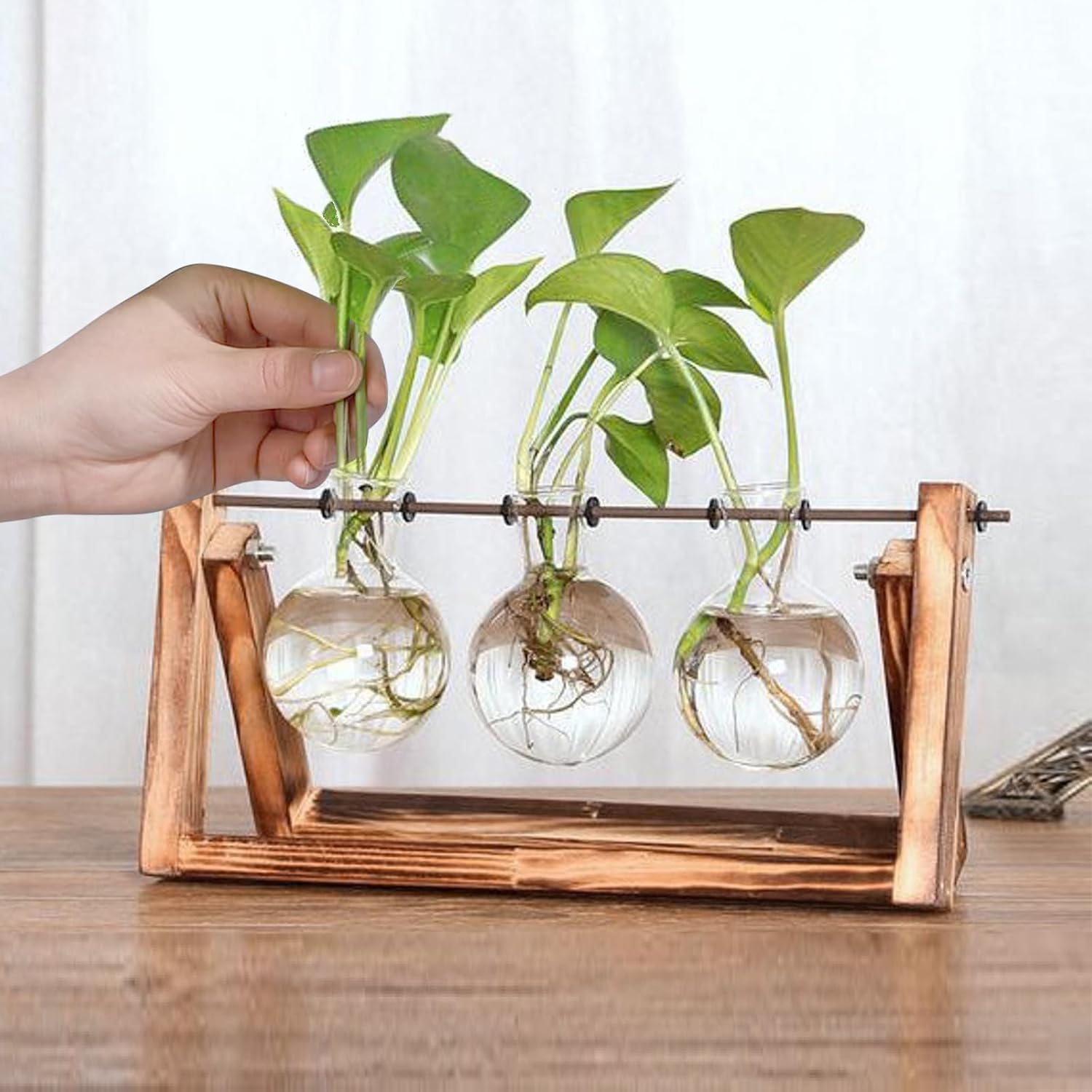 PUWOWYE Stazione di Propagazione per Piante Vintage - immagine 6