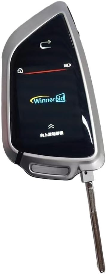 Chiave Smart Auto con Schermo LCD Keyless Entry