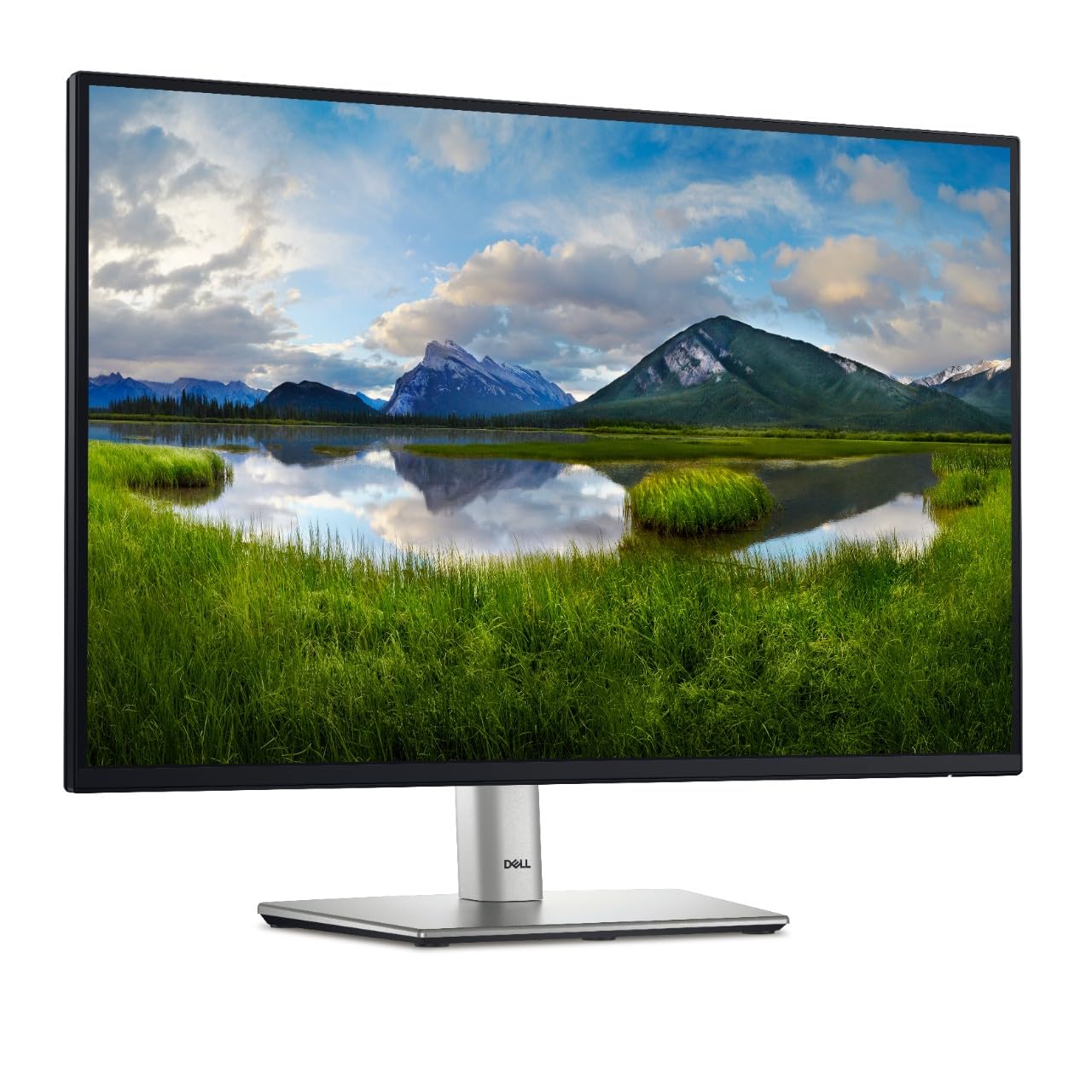 Dell P2425 Monitor 24" WUXGA 100Hz IPS, Nero