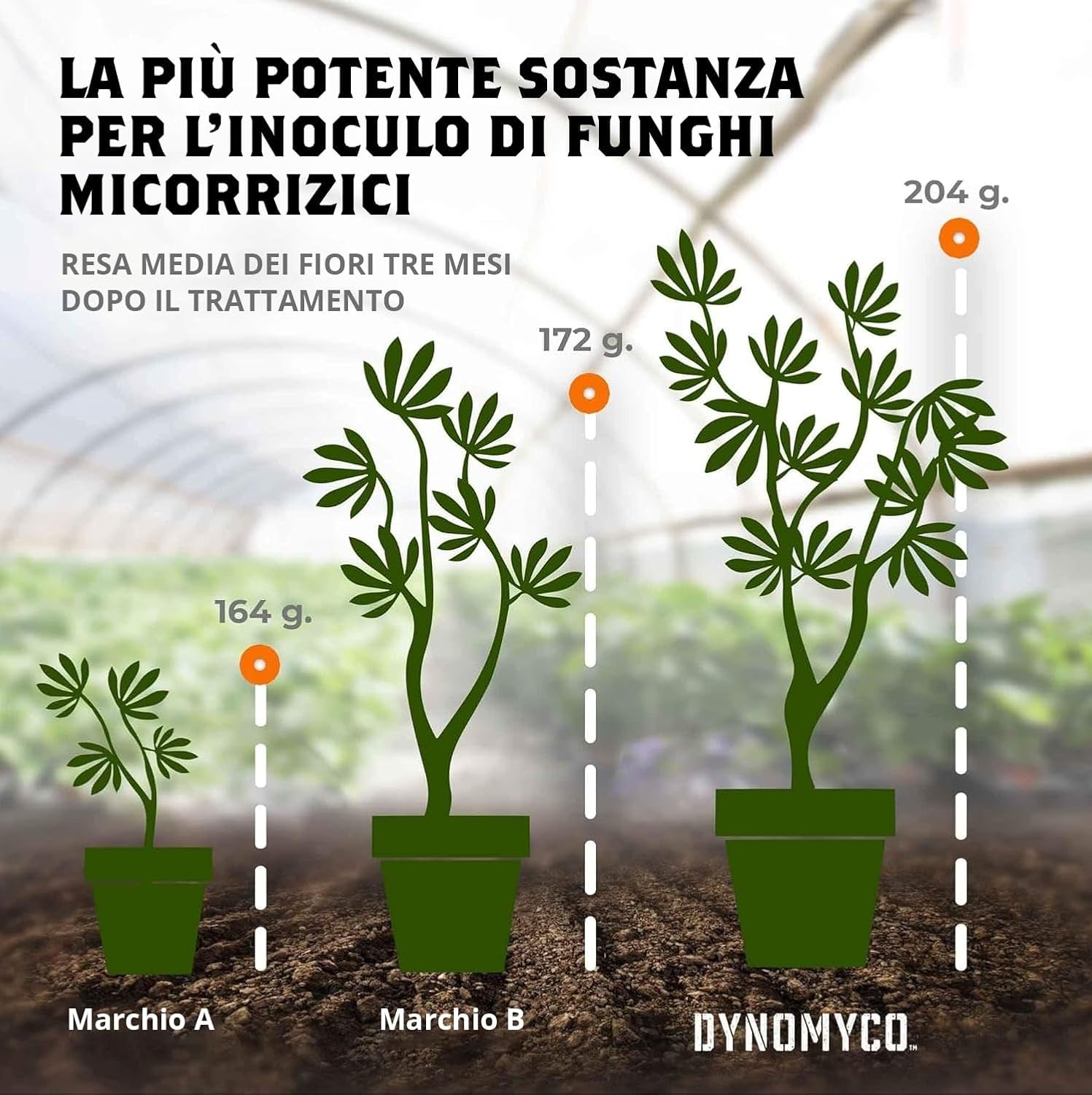 Dynomyco Inoculante Micorrizico Concentrato 12 Oz - immagine 2