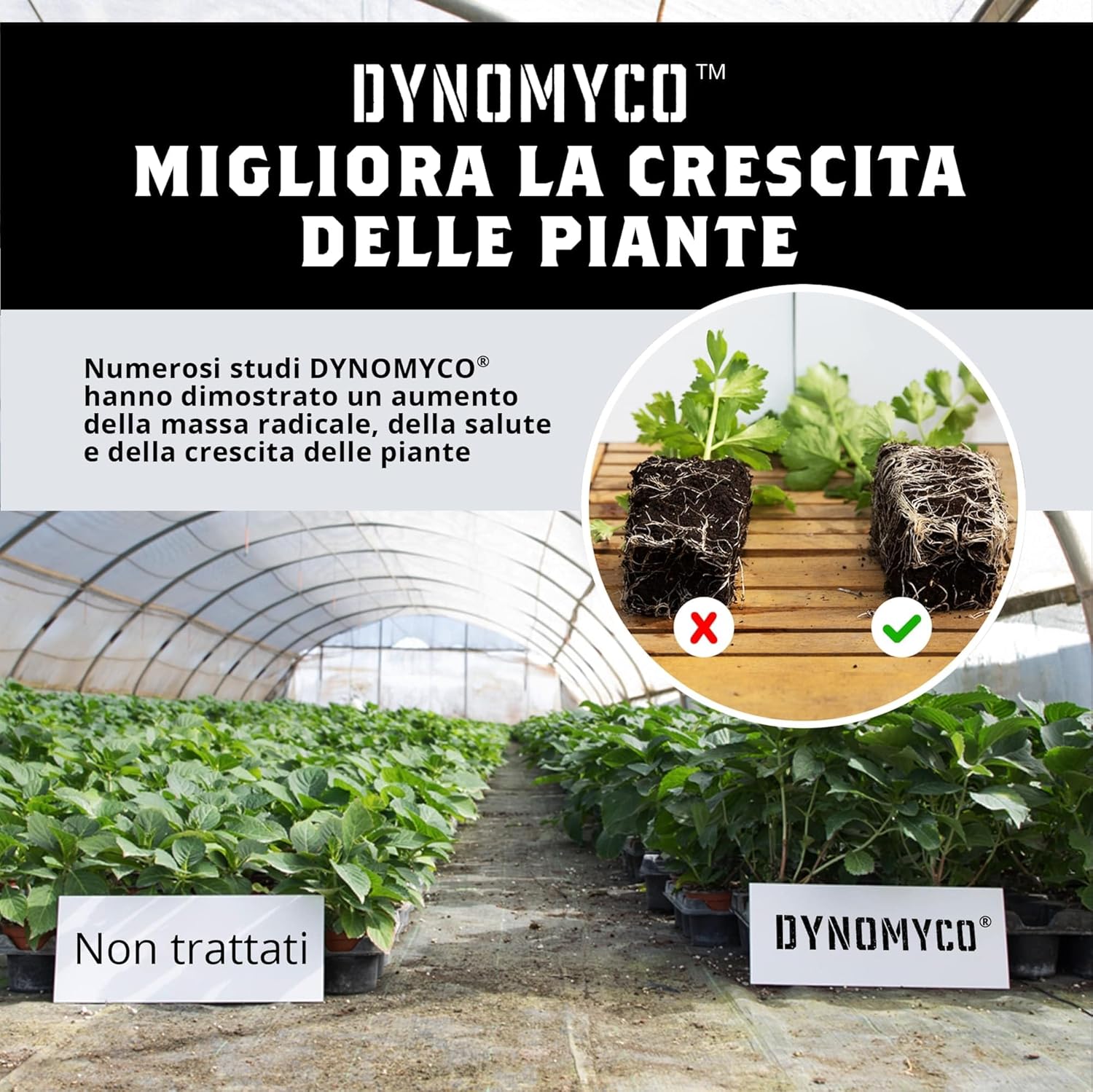 Dynomyco Inoculante Micorrizico Concentrato 12 Oz - immagine 4