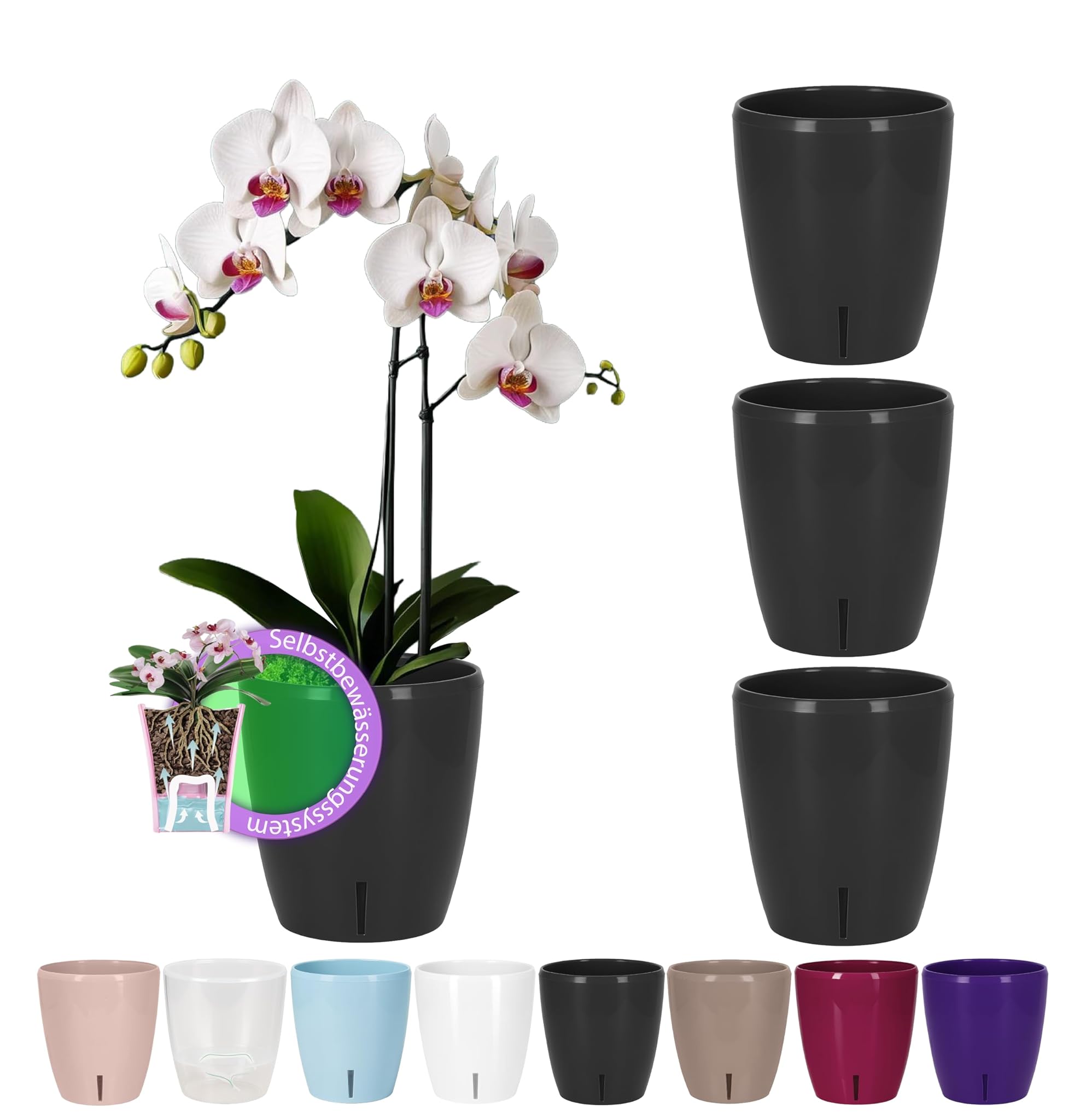 Santino Set 4 Vasi Autoirriganti per Interni, Antracite