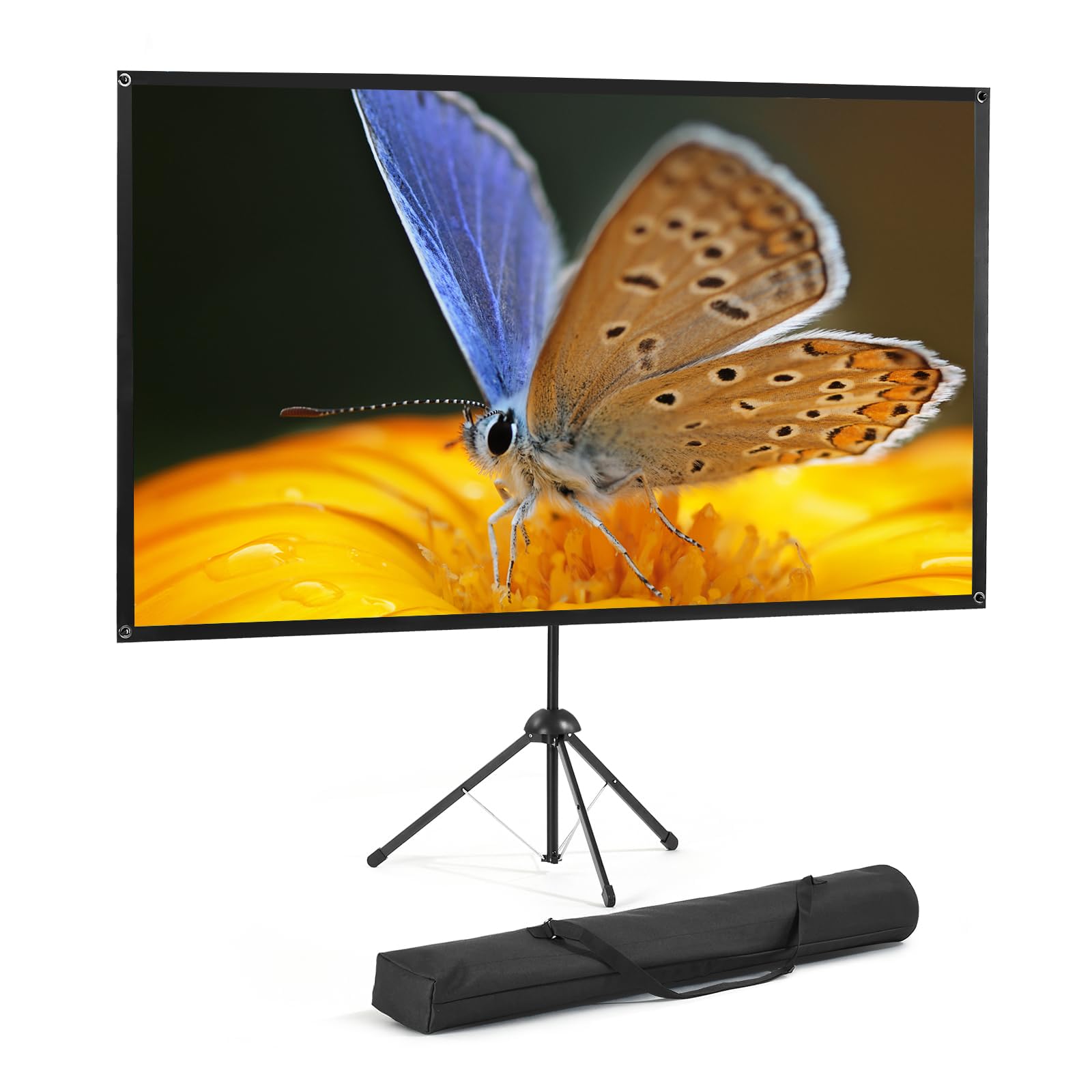 Casiris Schermo per Proiettore Portatile 100 Pollici