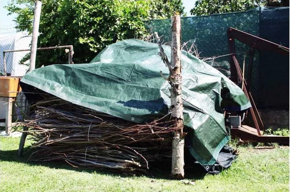 Telo Telone Occhiellato Antistrappo Impermeabile 2x3m - immagine 4