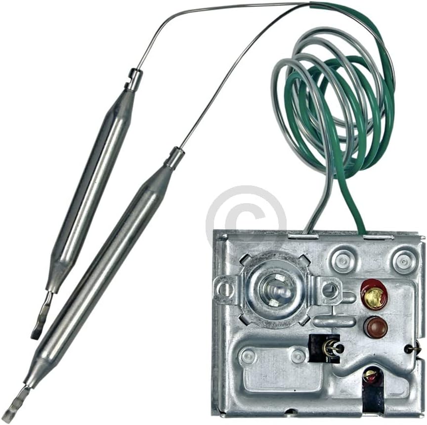 eVendix 55.60019.230 Termostato, Ferro - immagine 1