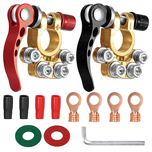 2 Morsetti per Batteria 4 Vie 12V/24V