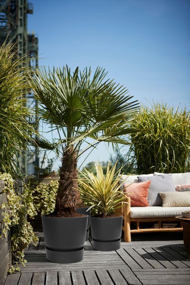 elho Greenville - Vaso da Fiori Rotondo Ø 30 cm (2 pz) - immagine 7