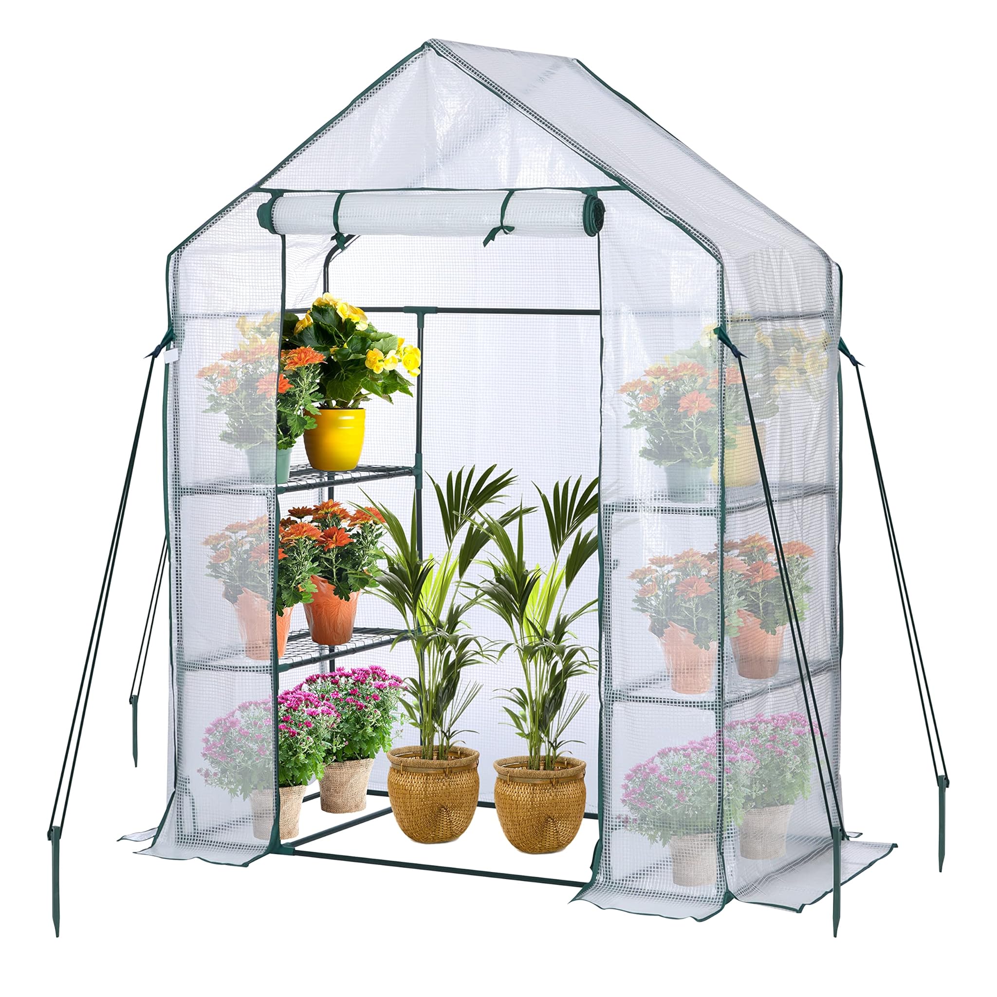 Jungle Stone Serra con Telaio in Acciaio